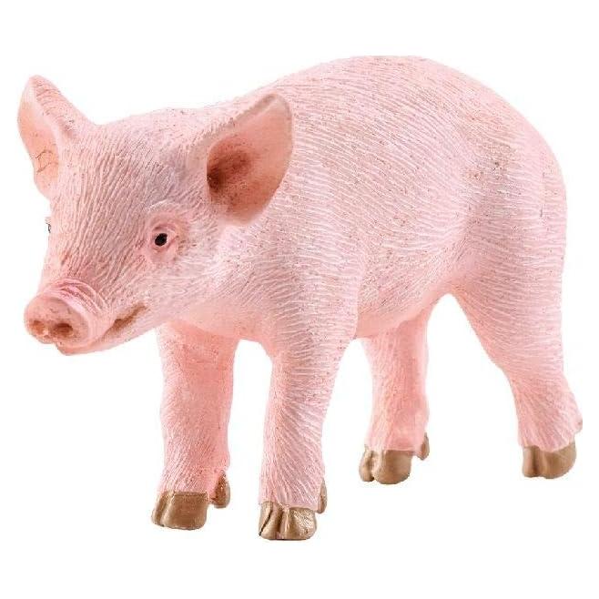 Figura Educativa Lechón Schleich Farm World 1.80x5.70 cm