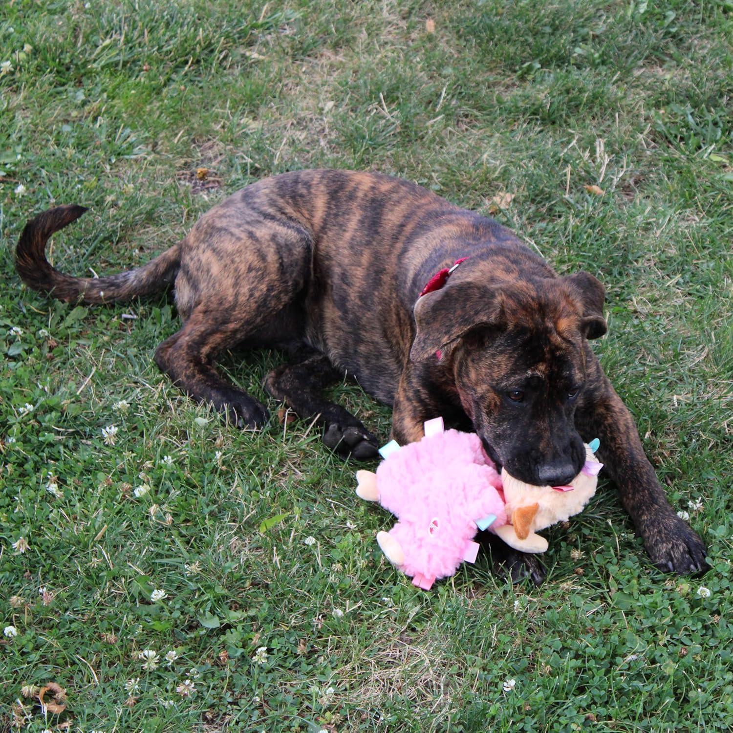 Juguete para Perros SPOT Soothers Tabbie Lambie 30.48cm