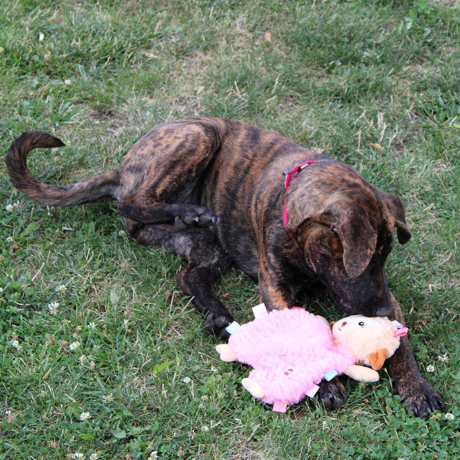 Juguete para Perros SPOT Soothers Tabbie Lambie 30.48cm