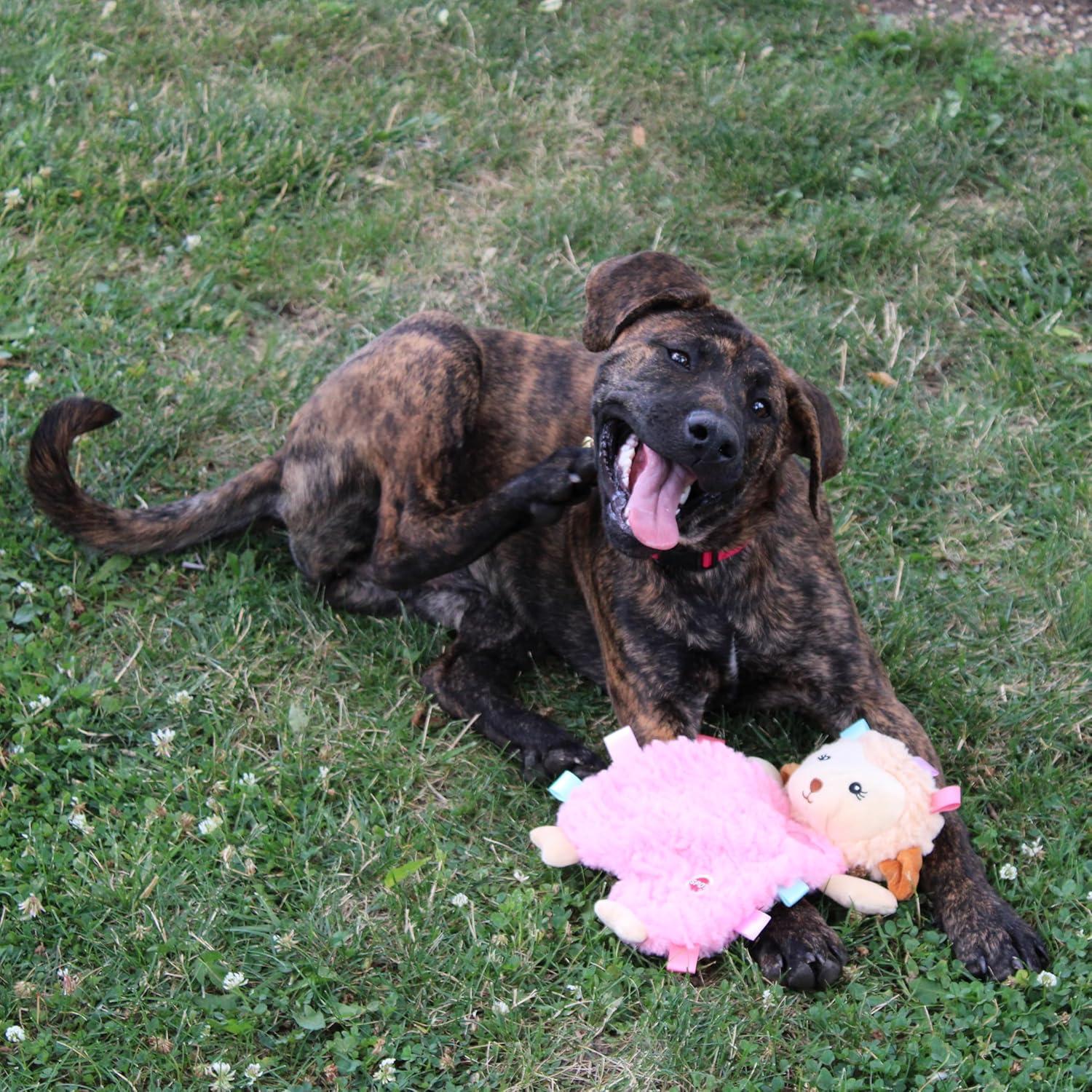 Juguete para Perros SPOT Soothers Tabbie Lambie 30.48cm