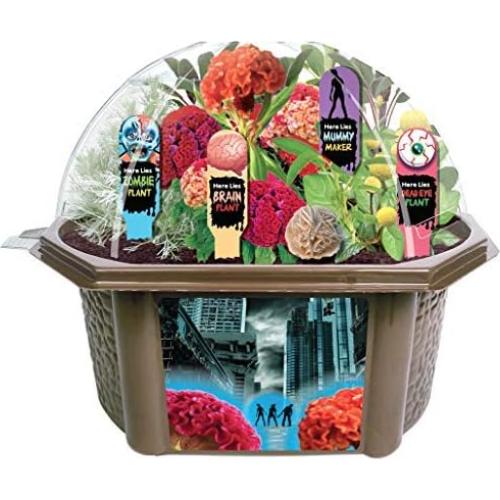 Kit Terrario Apocalipsis Zombie Juguetes por Naturaleza 388g