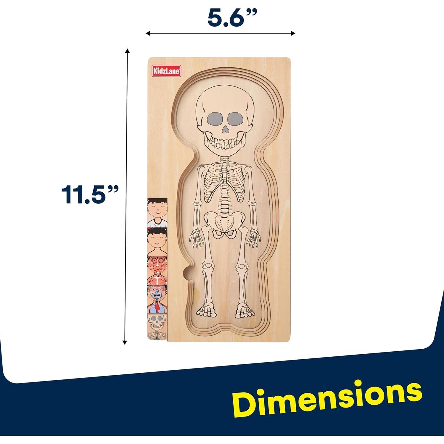 Rompecabezas de Madera Kidzlane Mi Cuerpo 5 Capas Educativo