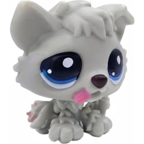 Juguete de tienda de mascotas LPSCB personalizado 2.5 cm