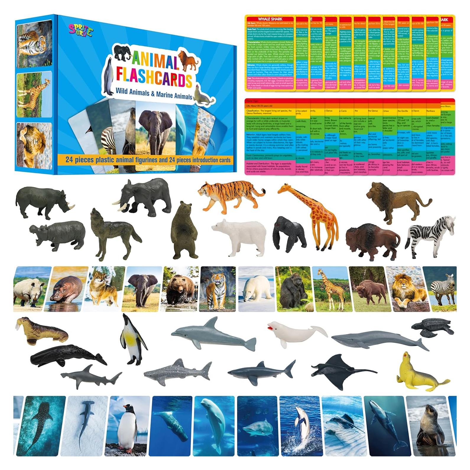 24 Figuras de Animales + 24 Tarjetas Educativas - SpriteGru