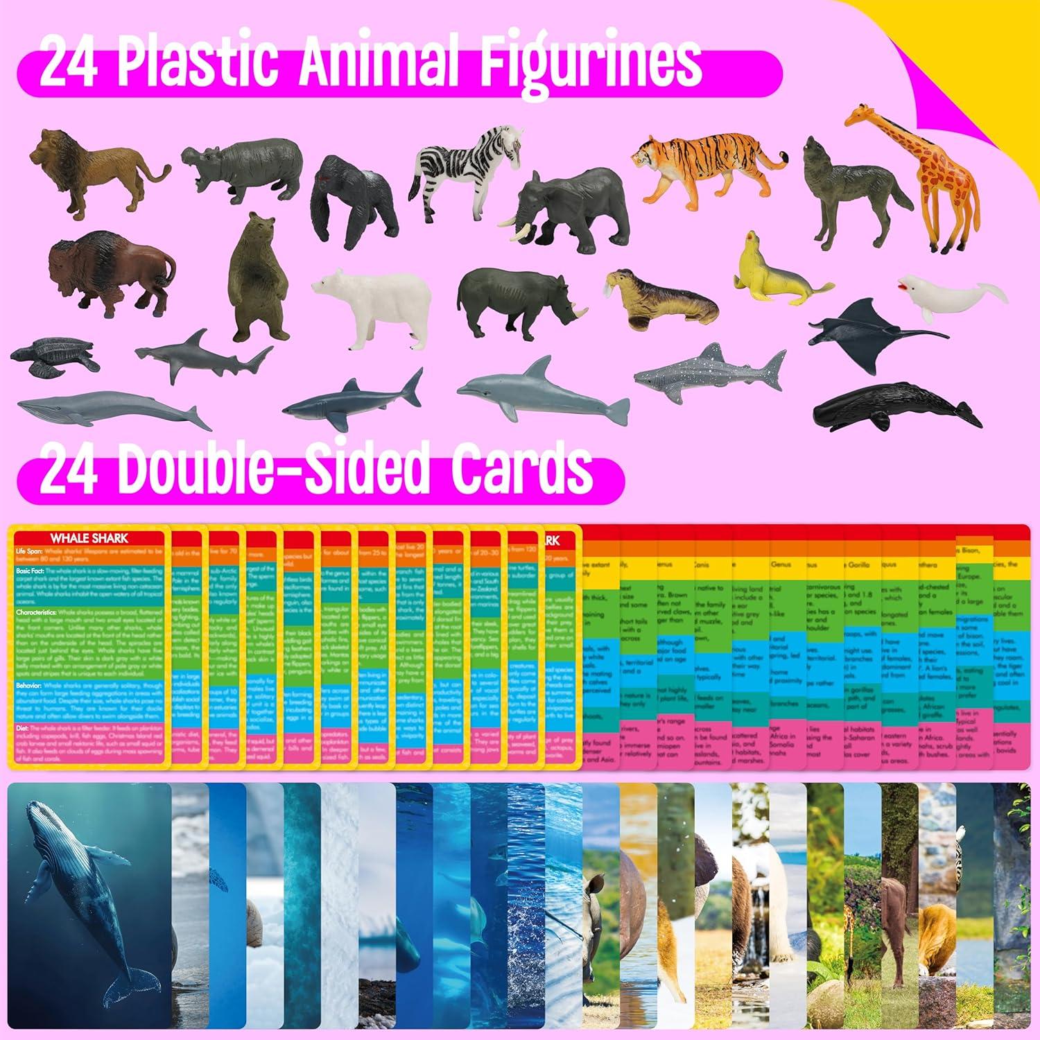24 Figuras de Animales + 24 Tarjetas Educativas - SpriteGru