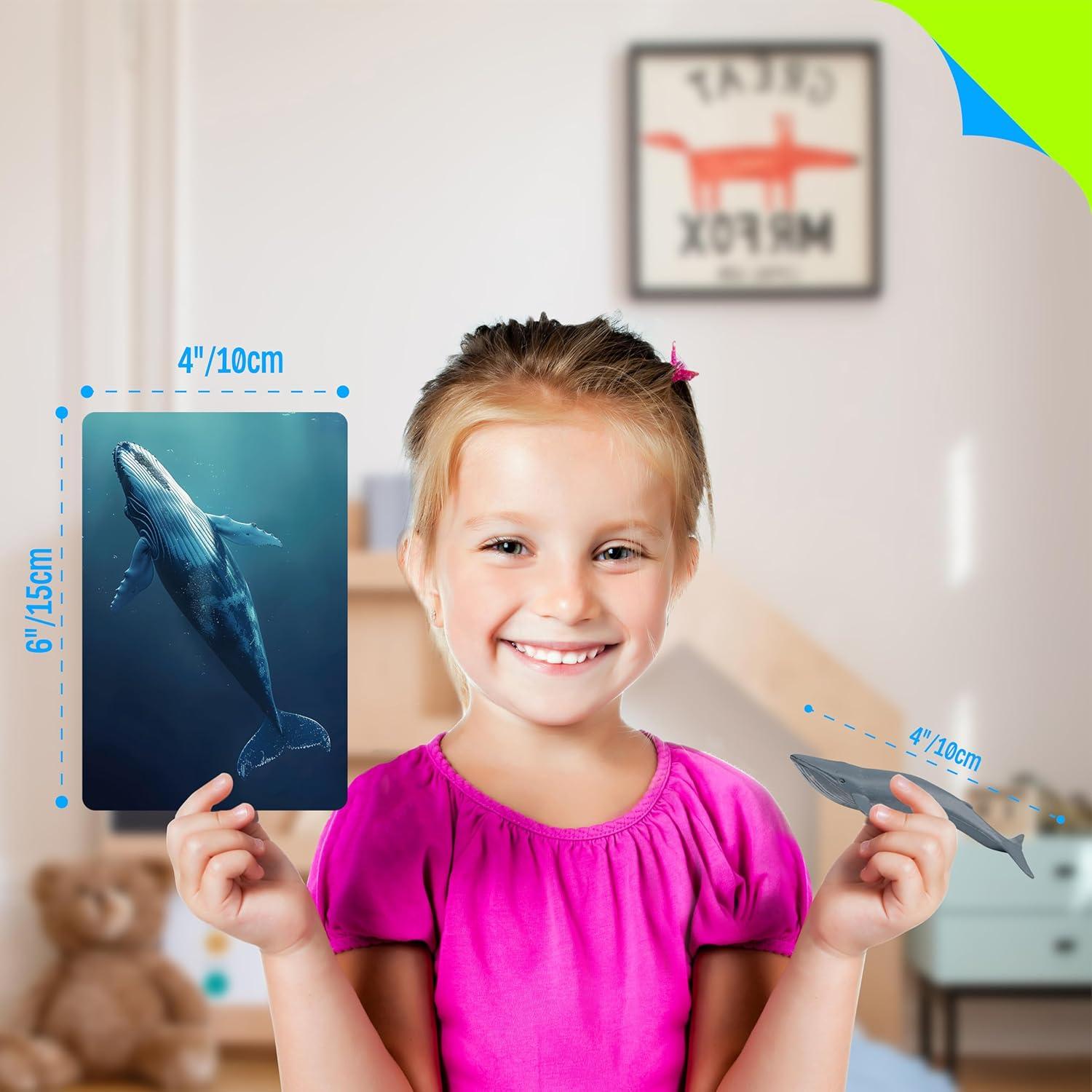 24 Figuras de Animales + 24 Tarjetas Educativas - SpriteGru