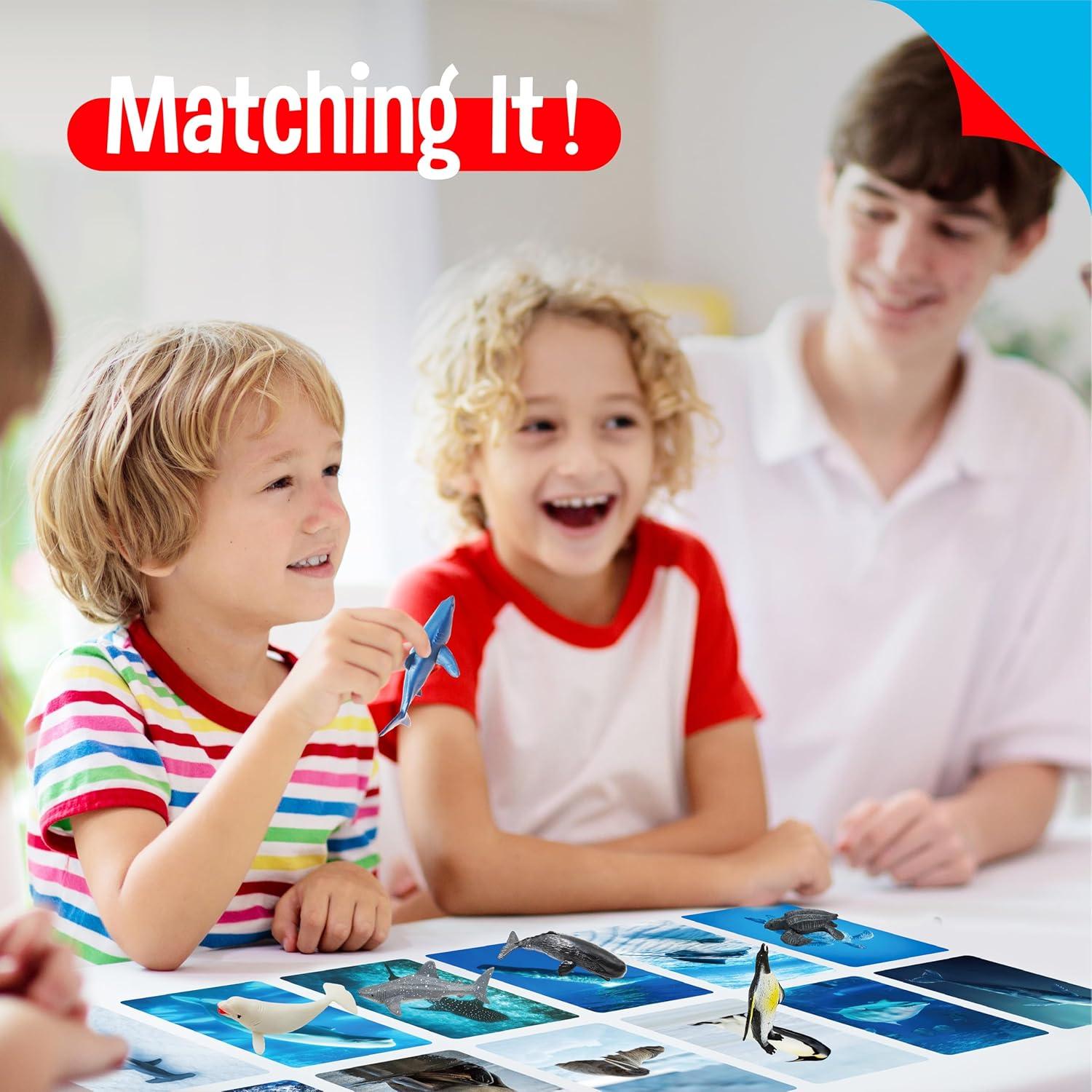 24 Figuras de Animales + 24 Tarjetas Educativas - SpriteGru