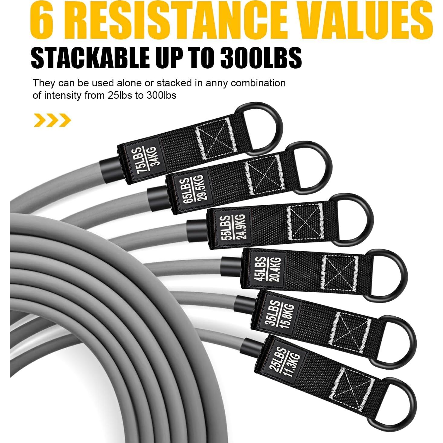 Bandas de Resistencia HPYGN 300LBS con Mangos para Ejercicio