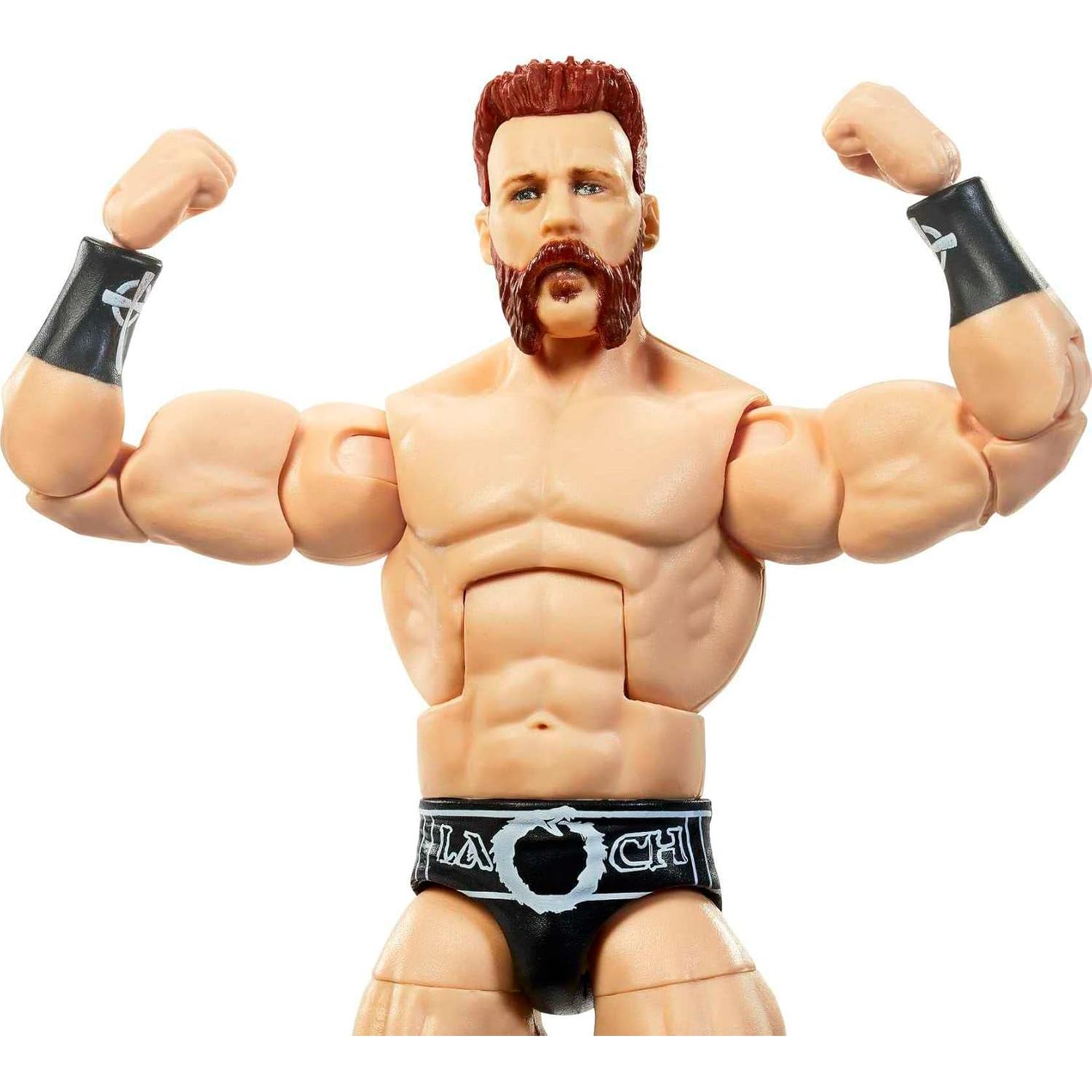 Figura de Acción Mattel WWE Elite Sheamus 15 cm Detalle Realista