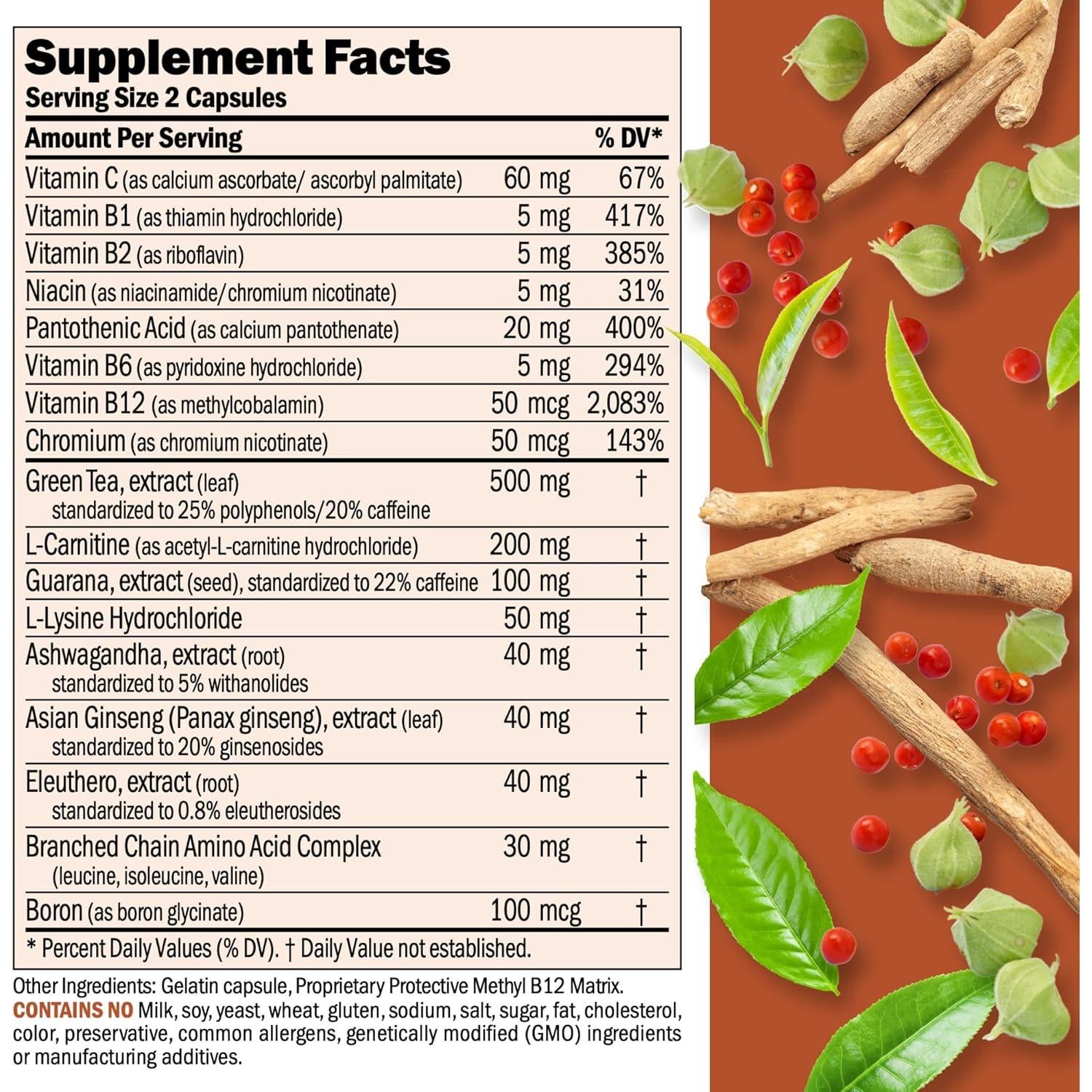 Suplemento Energía y Metabolismo de Grasas Andrew Lessman 30 Cápsulas