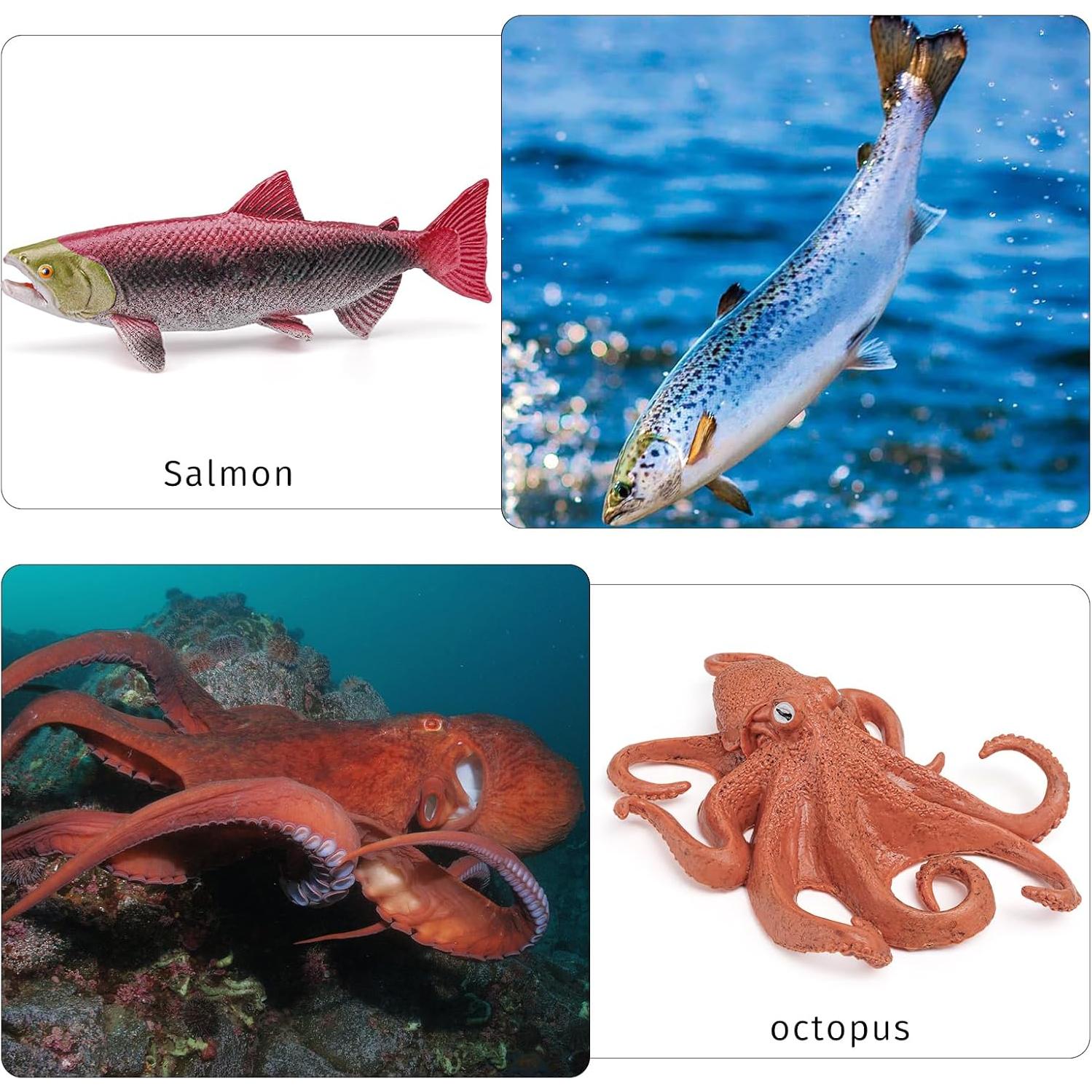 Conjunto Ciclo de Vida del Pez LC JoyCre 8 Figuras Realistas