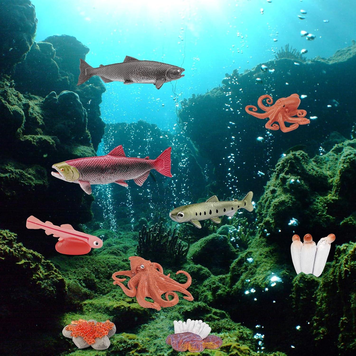 Conjunto Ciclo de Vida del Pez LC JoyCre 8 Figuras Realistas