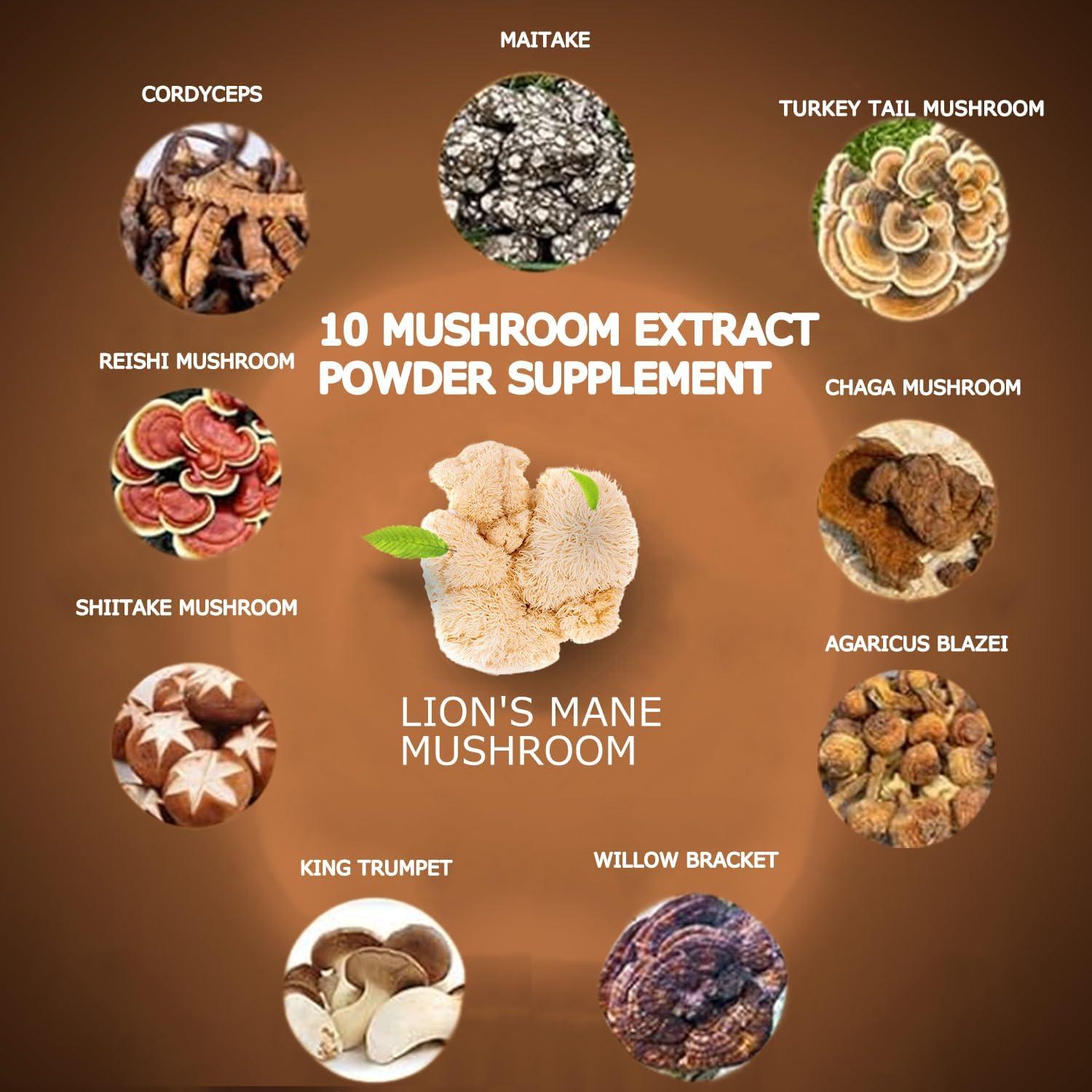 Café de Hongo Suiyilary 300g - Mezcla de 10 Hongos Nutritivos