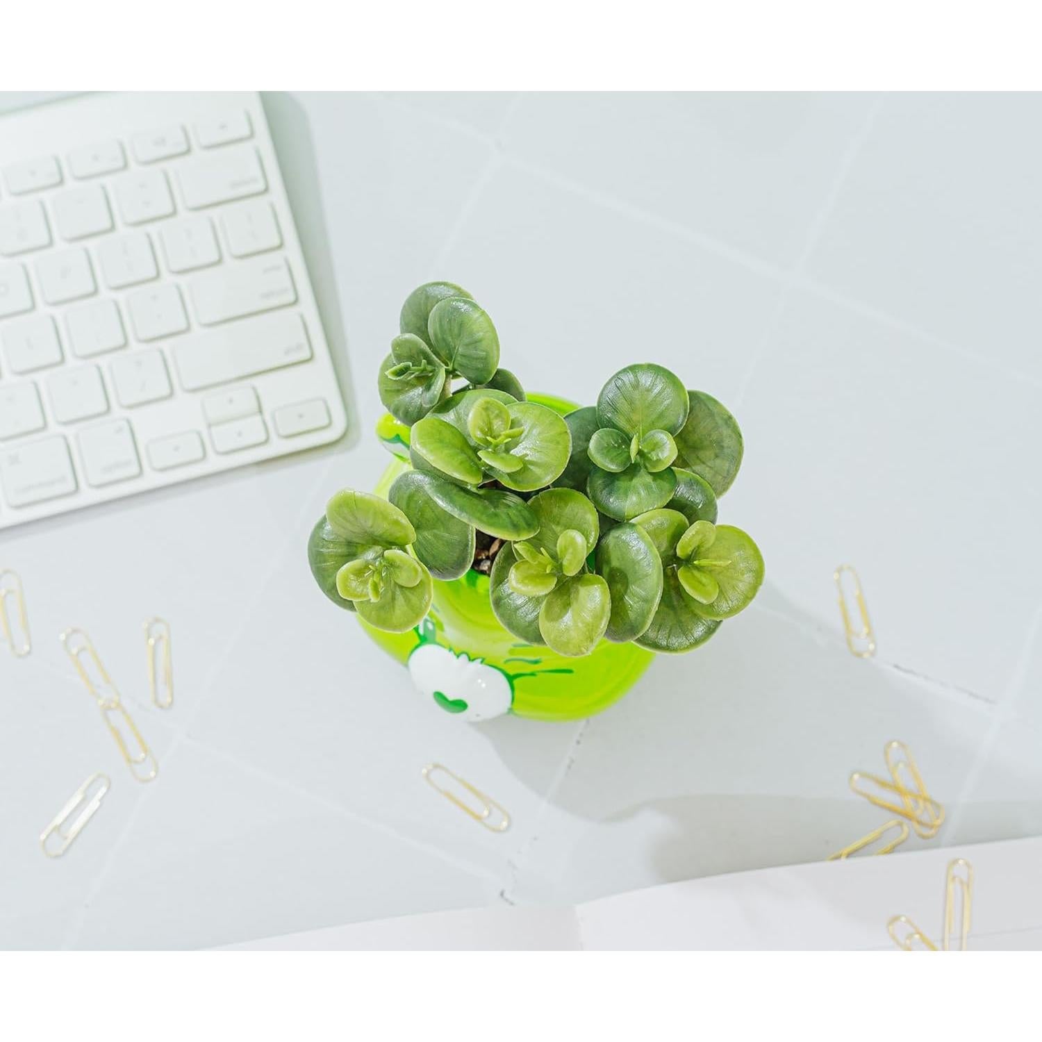 Mini Maceta Cerámica Buen Suerte Oso Care Bears 7.6cm