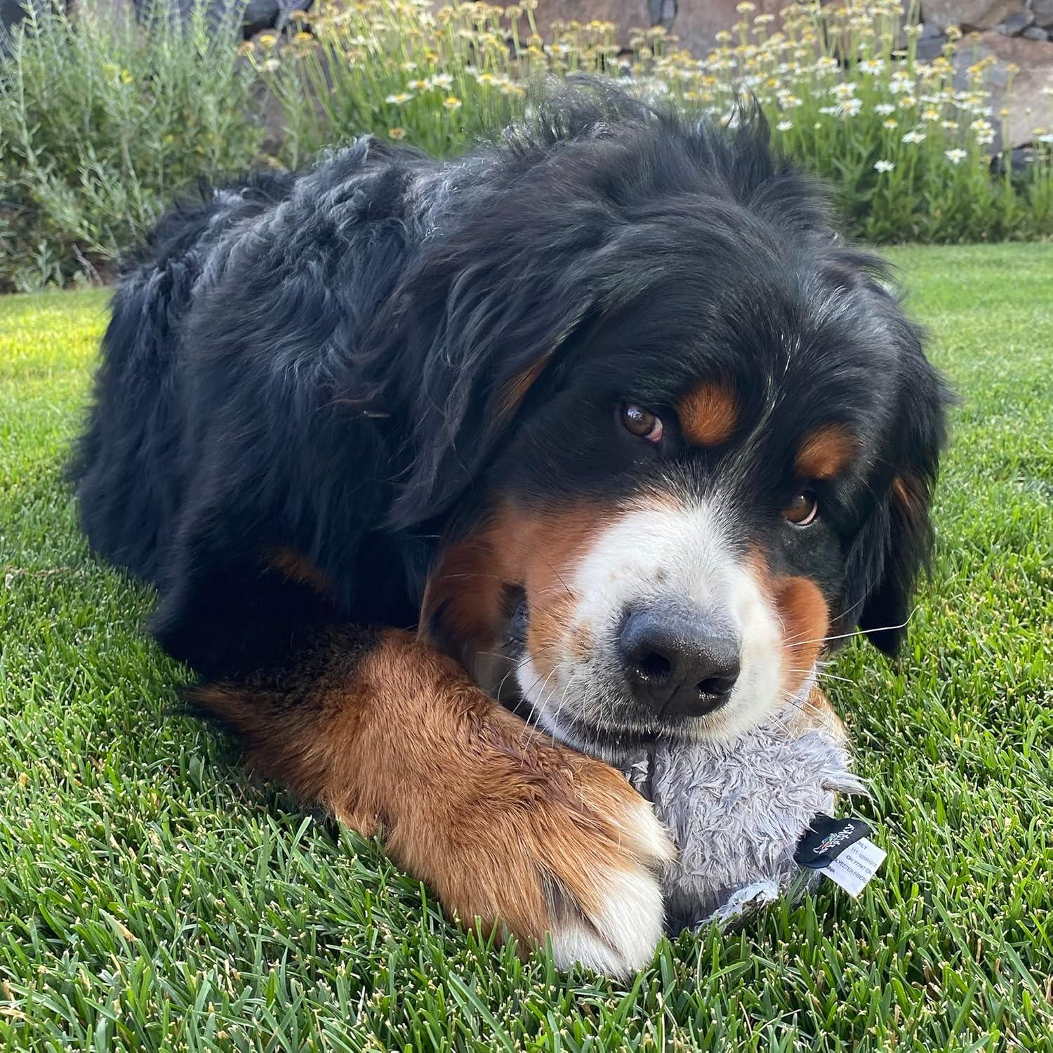 Juguete para Perros Hipopótamo Spunky Pup 20cm con Sonido