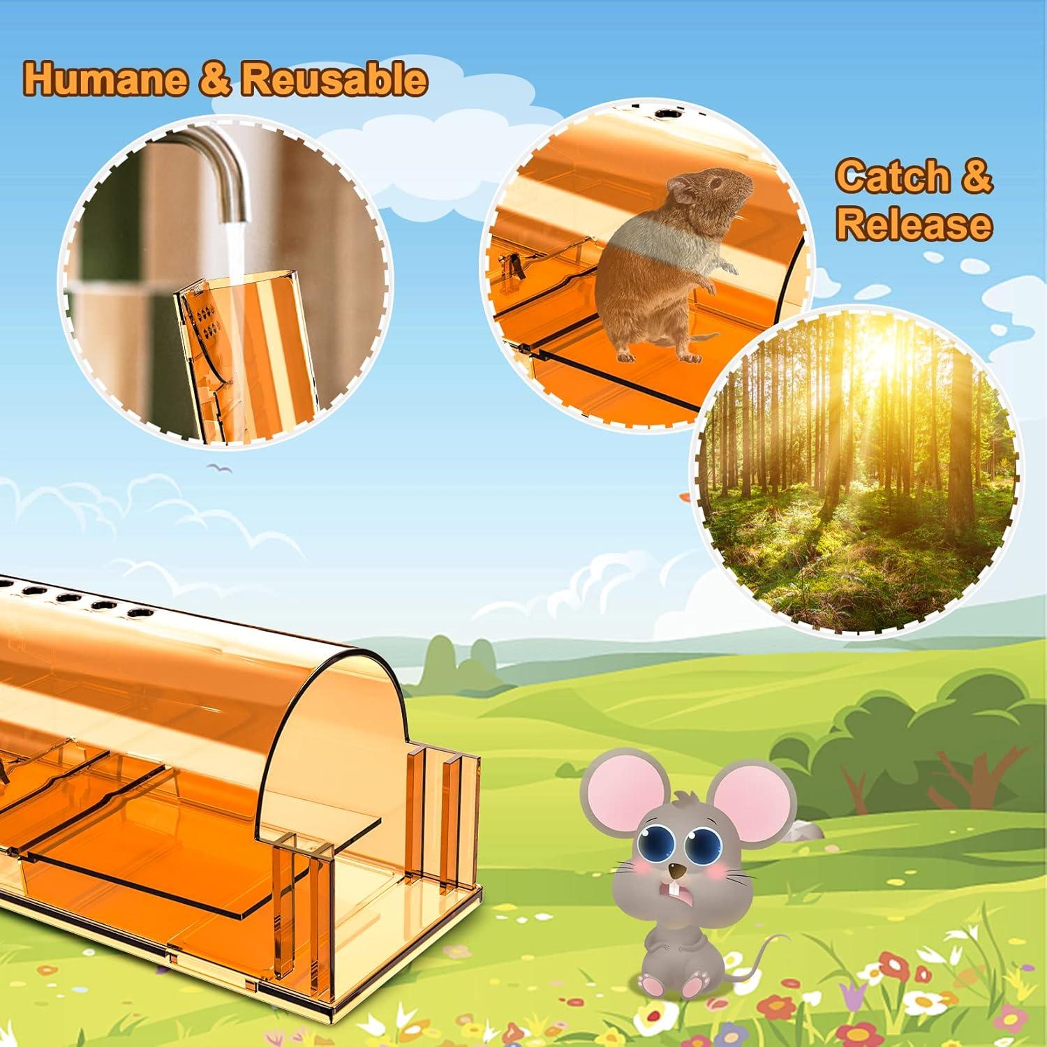 Trampas humanas para ratones Wanqueen - Paquete de 4 unidades