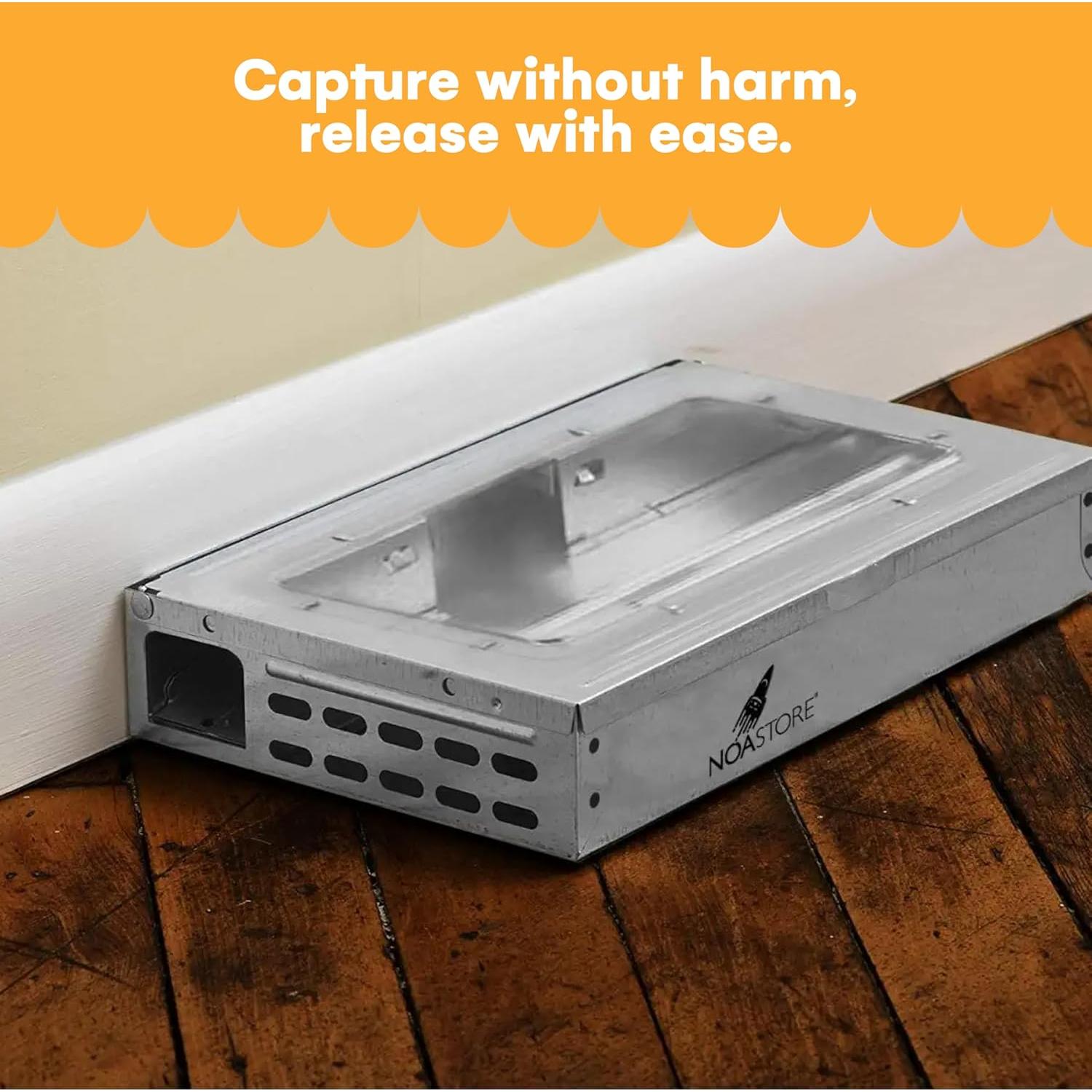 Trampas Humanas para Ratones Noa Store - Paquete de 4 Reutilizables