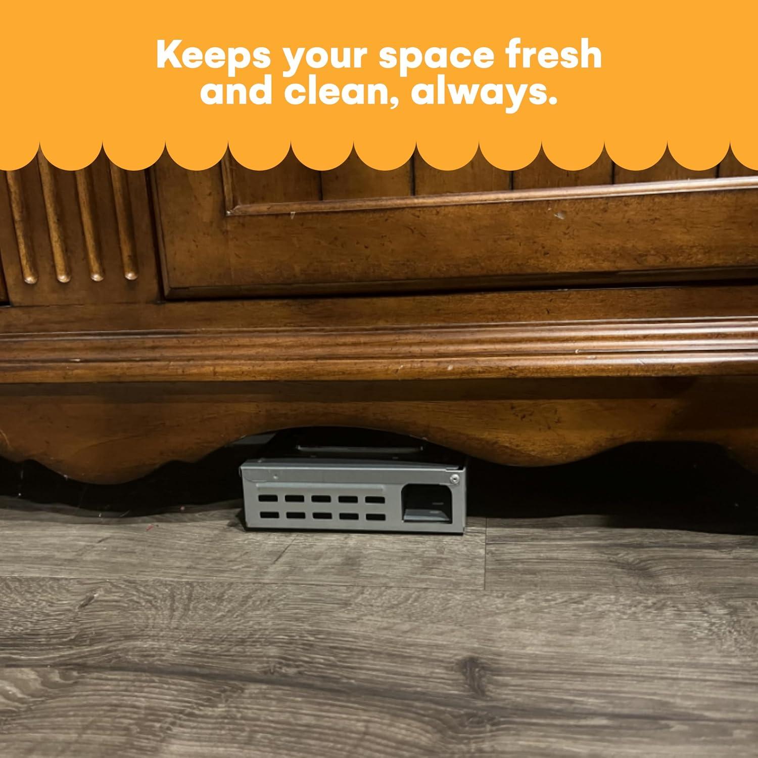 Trampas Humanas para Ratones Noa Store - Paquete de 4 Reutilizables