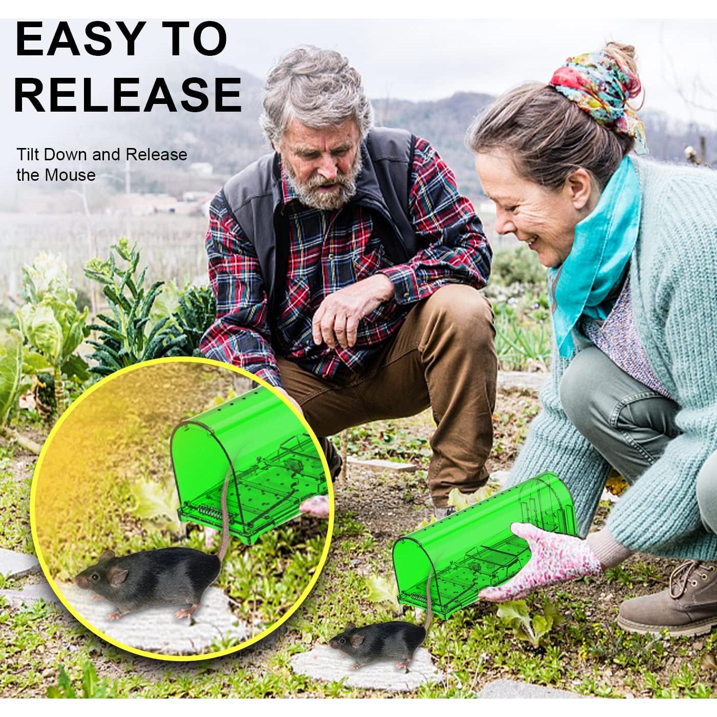 Trampas humanas para ratones ViKert - Paquete de 4 unidades