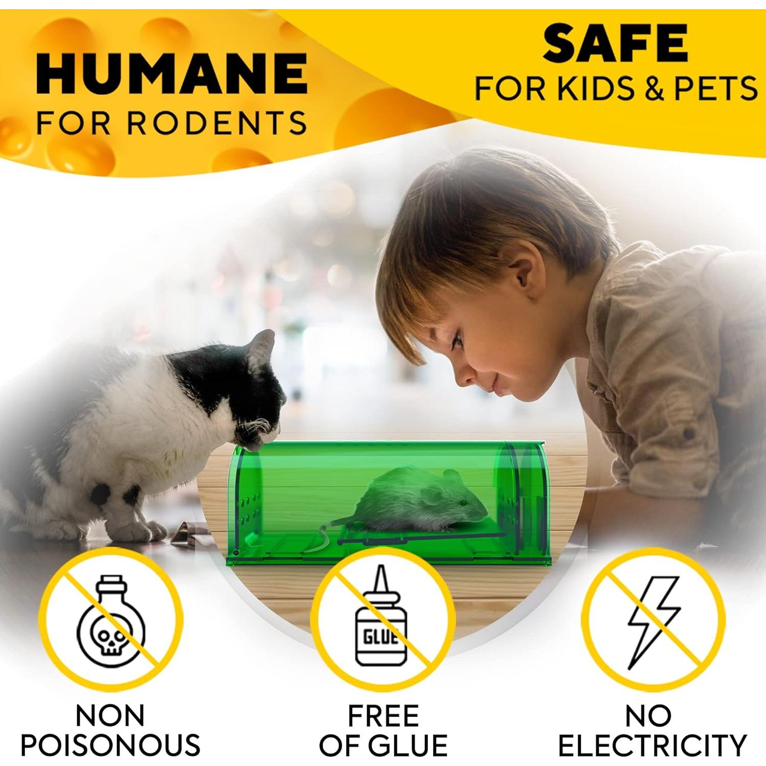 Trampas Humanas para Ratones GEROSSI - Paquete de 2, Seguras