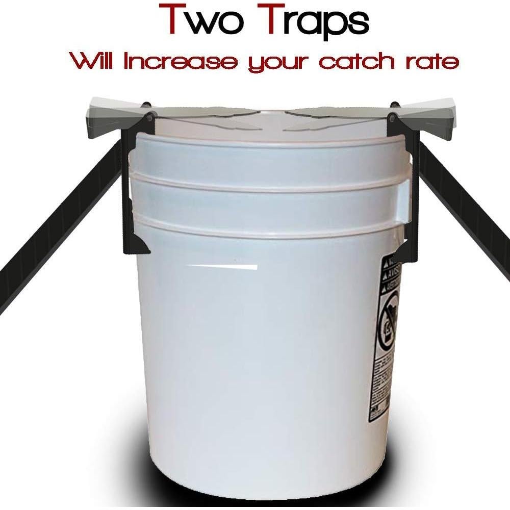 Trampa para Ratones RinneTraps - 2 Unidades, Humana y Segura