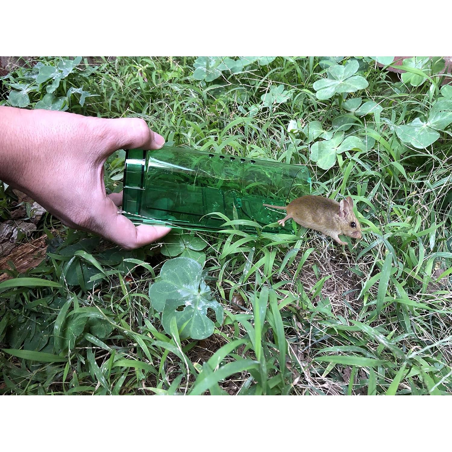 Trampa Humana para Ratones AKCHY - 2 Unidades Seguras