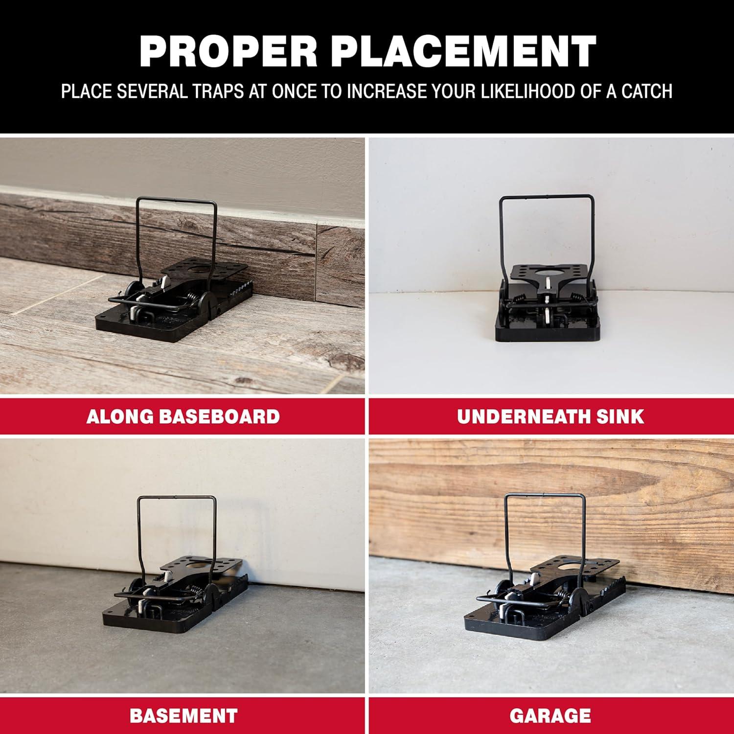 Trampa Rápida para Ratas Catchmaster 6 Unidades Ecológica