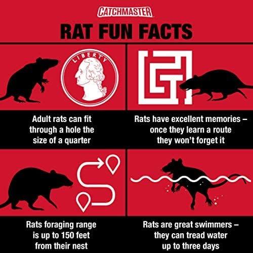 Trampa Rápida para Ratas Catchmaster 6 Unidades Ecológica
