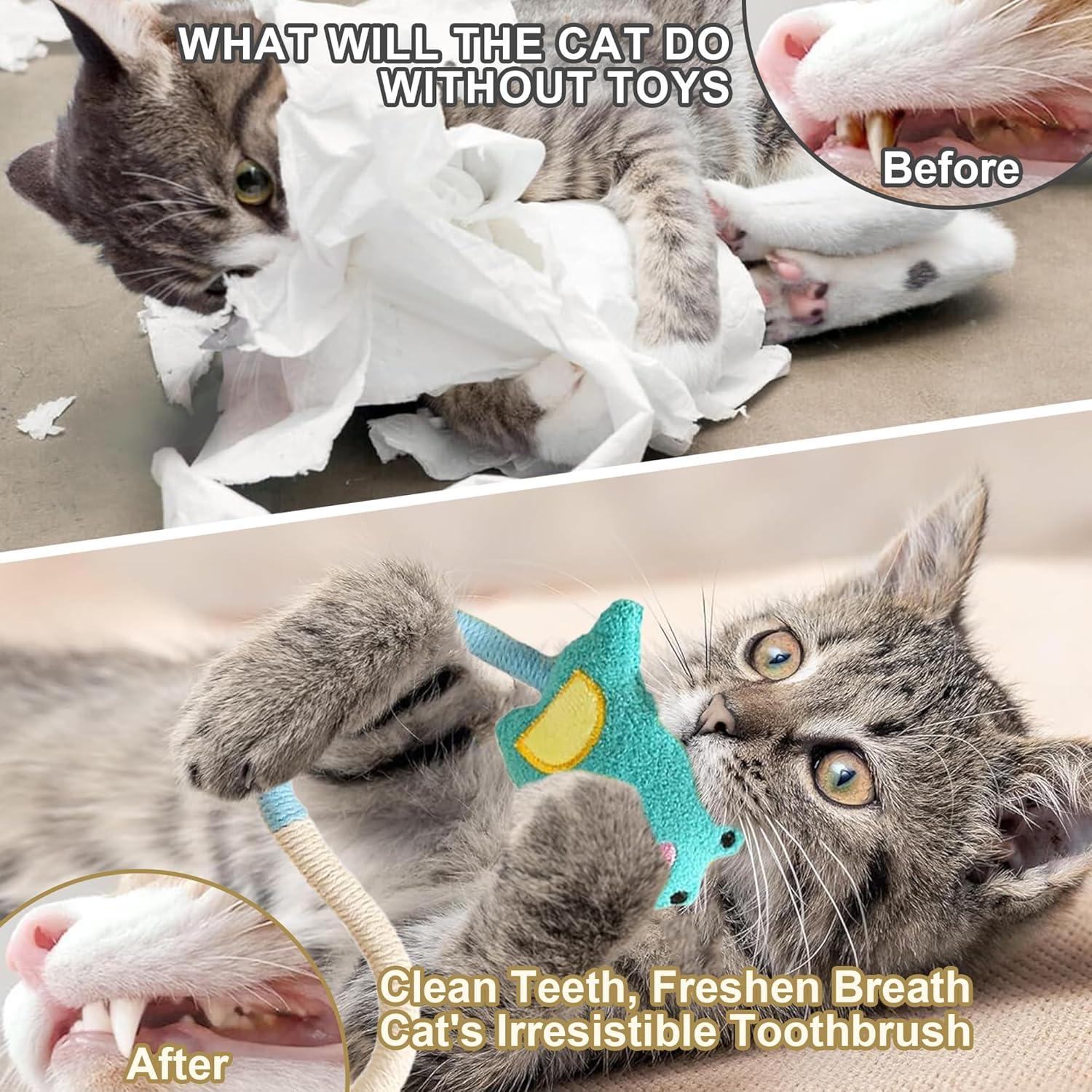 Juego de Juguetes para Gatos SUPERPAWS - 4 Piezas Catnip