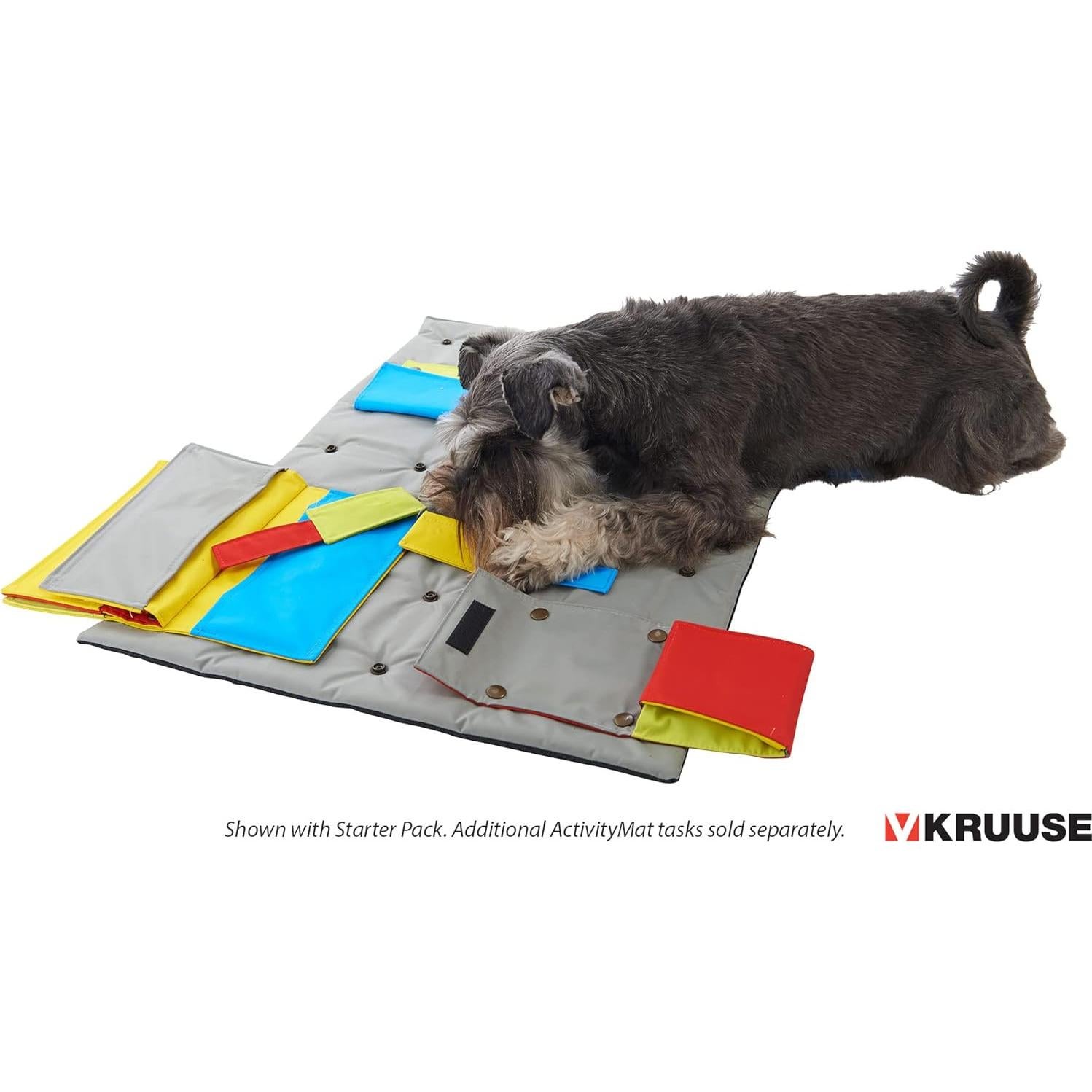 Kruuse Tarea Trampa de Ratón para Alfombra BUSTER