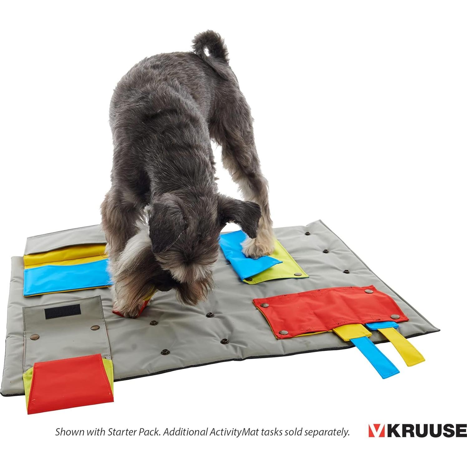 Kruuse Tarea Trampa de Ratón para Alfombra BUSTER