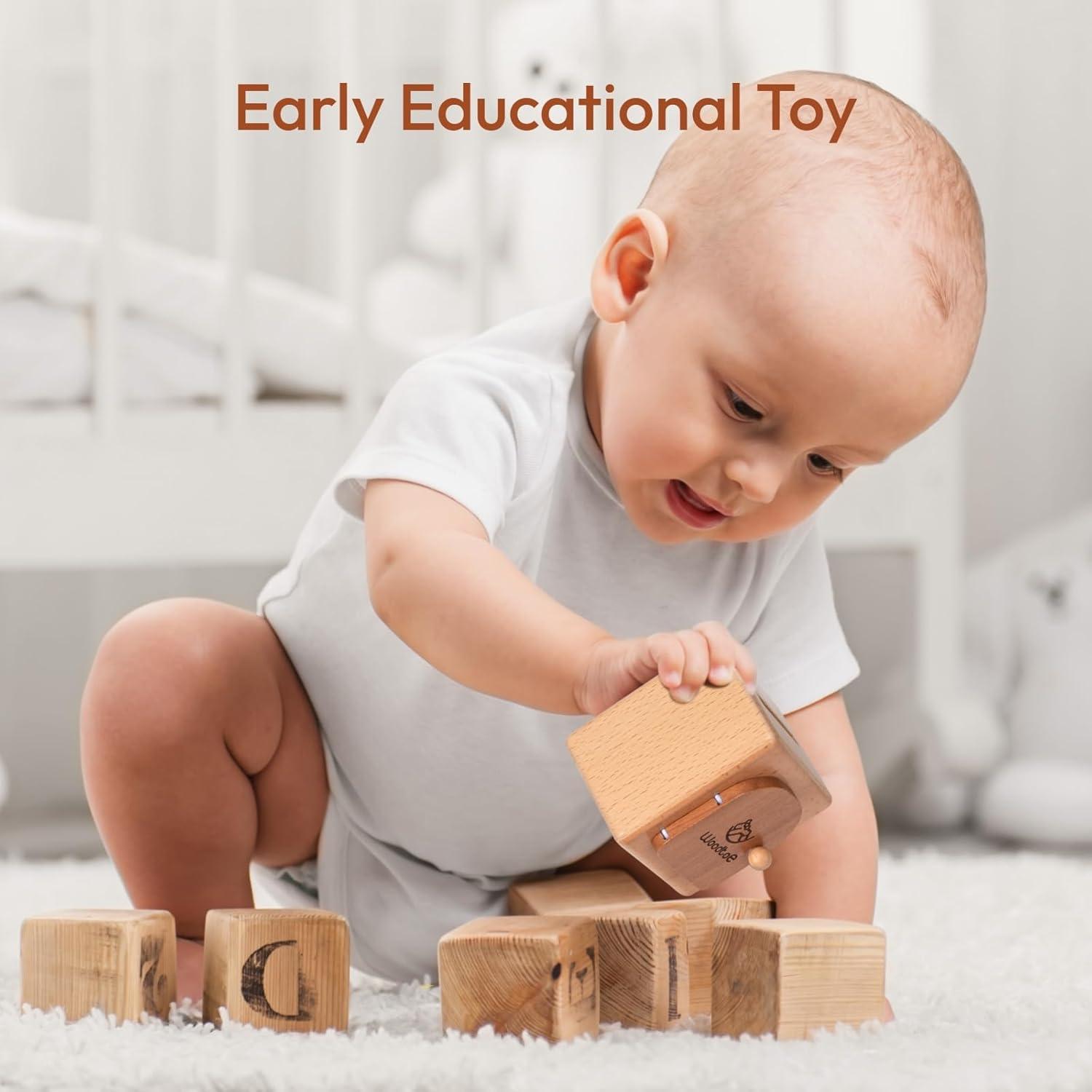 Caja de Monedas Montessori Woodtoe para Bebés 18 Meses