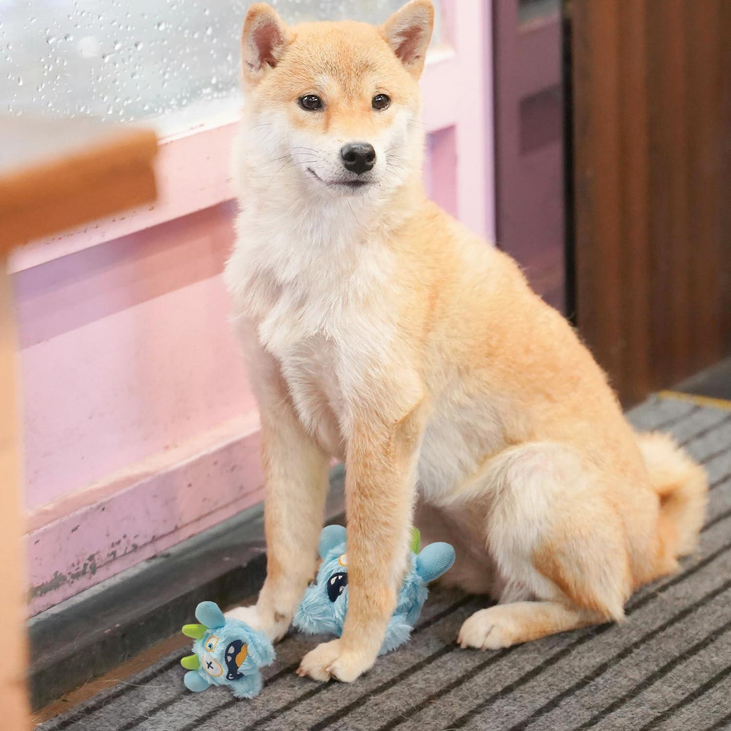 Pelota de Juguete para Perros Best Pet Supplies Pequeña Azul