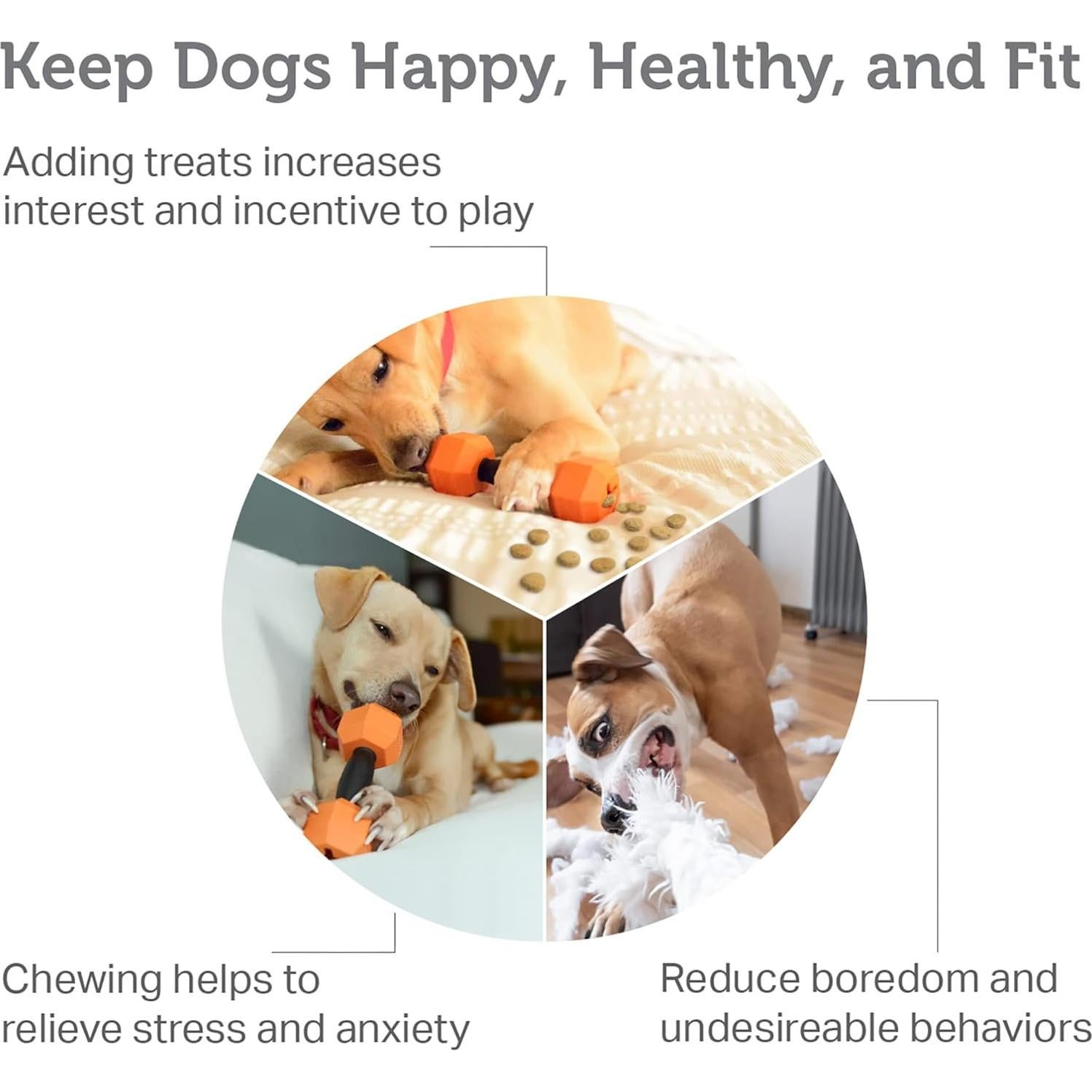 Juguete Dispensador de Golosinas para Perros Friends Forever - 2 Piezas