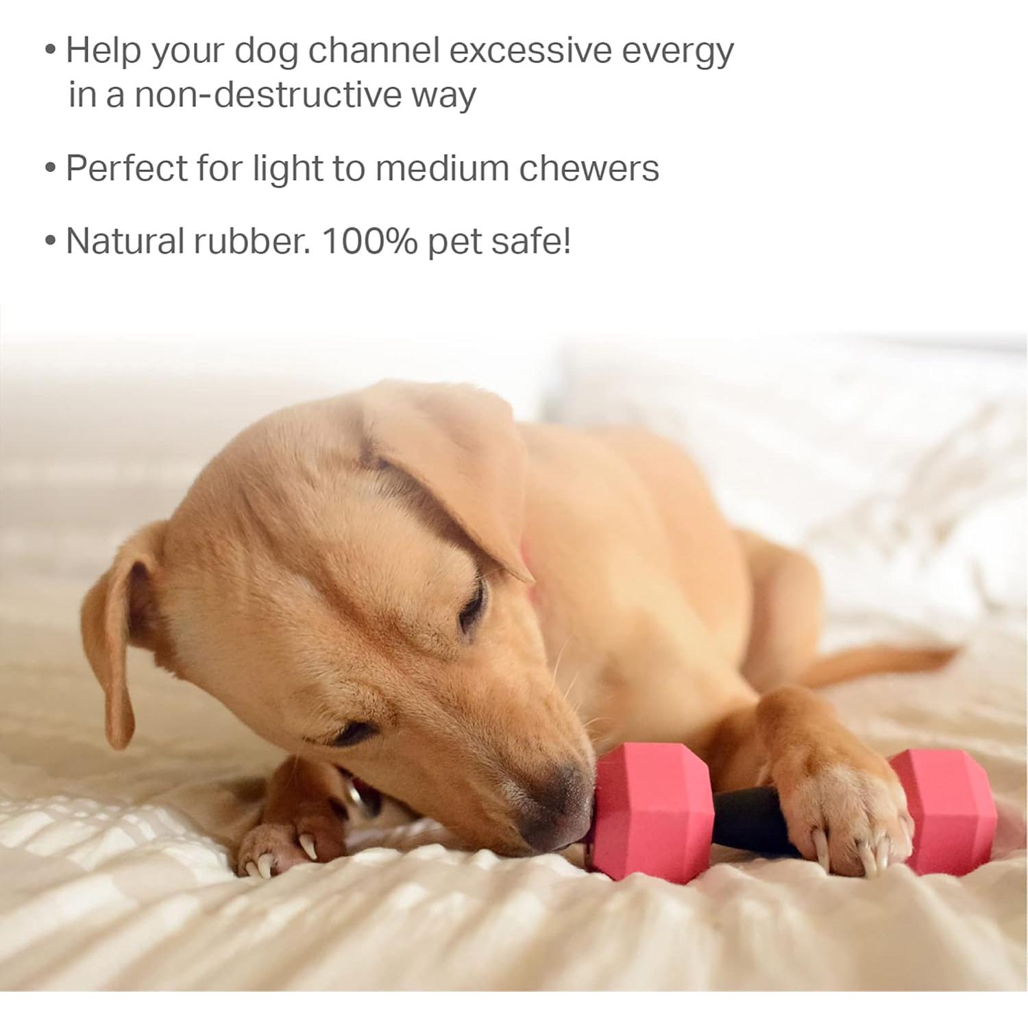 Juguete Dispensador de Golosinas para Perros Friends Forever - 2 Piezas