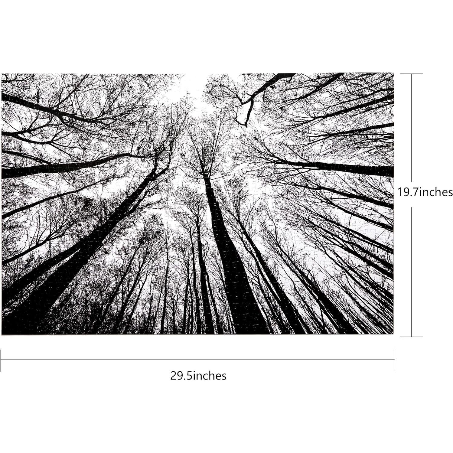 Rompecabezas Bgraamiens Bosque en Blanco y Negro 1000 Piezas