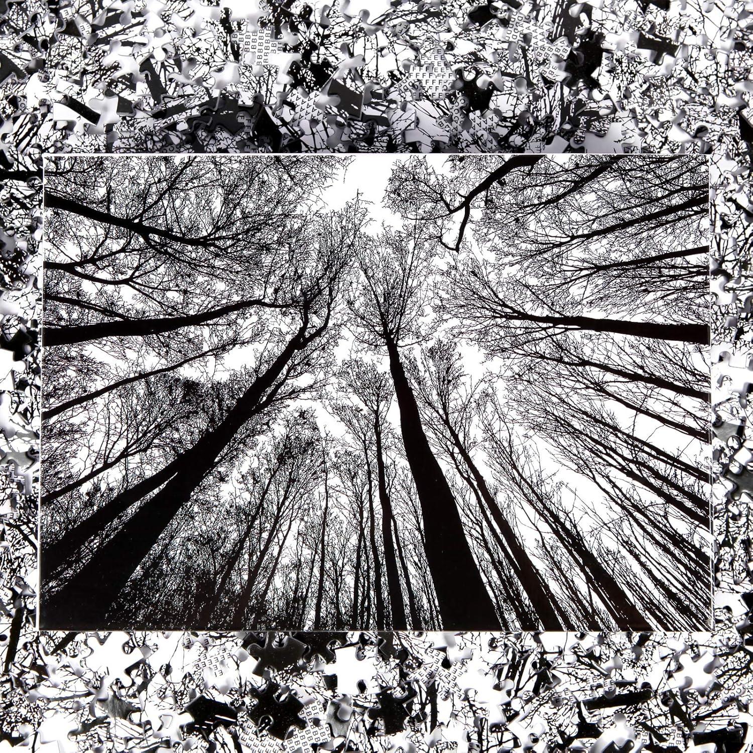 Rompecabezas Bgraamiens Bosque en Blanco y Negro 1000 Piezas