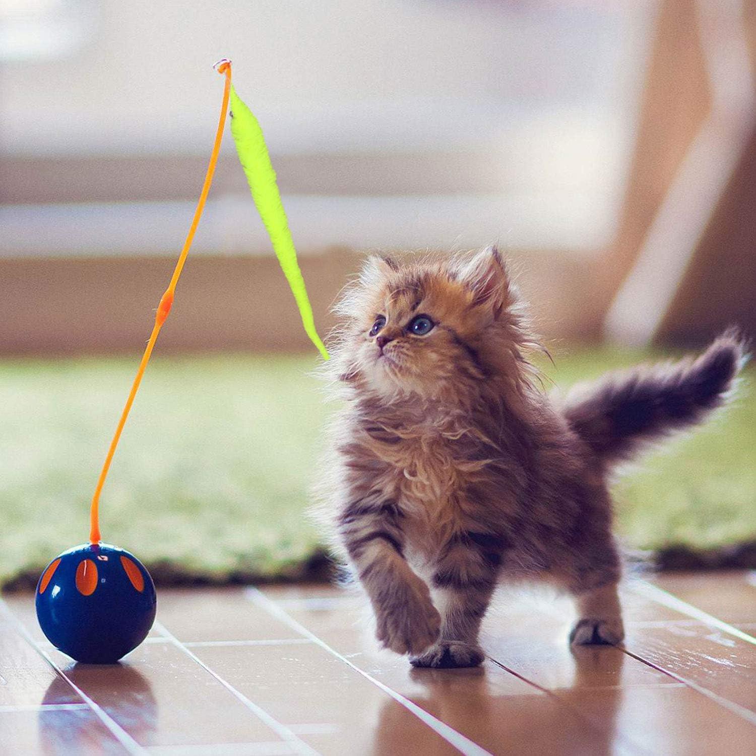 Gusanos Mágicos HAPTIME - 24 Piezas Coloridos con Ojos Móviles