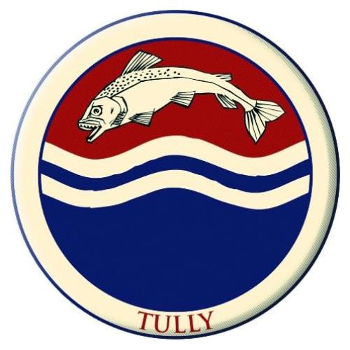 Parche Bordado Game of Thrones Tully 12.45x9.14cm