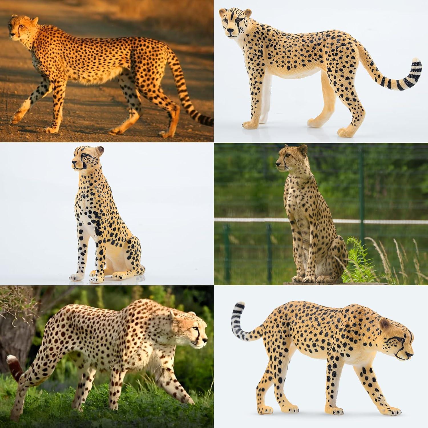 Conjunto de Figuras de Guepardo Toymany 8PCS Realista