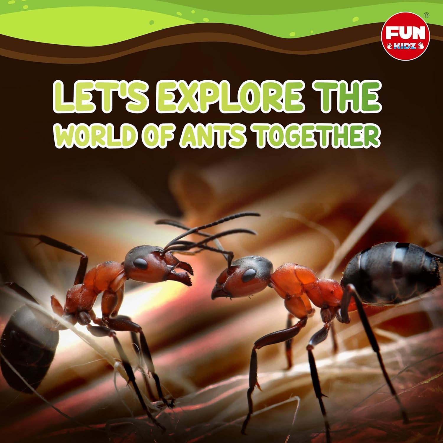 Kit de Granja de Hormigas FunKidz - Terrario Educativo 14.5x17.5 cm