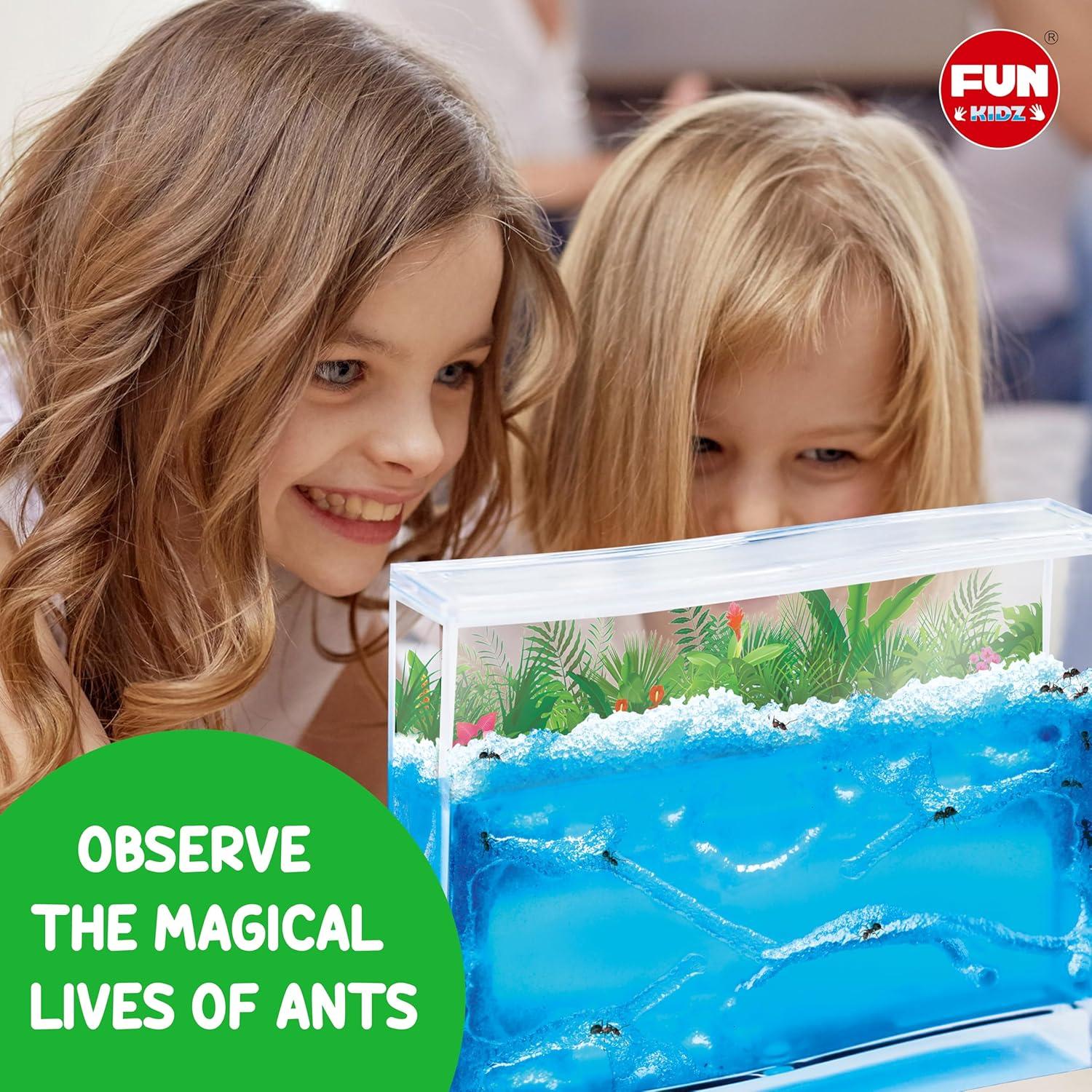 Kit de Granja de Hormigas FunKidz - Terrario Educativo 14.5x17.5 cm