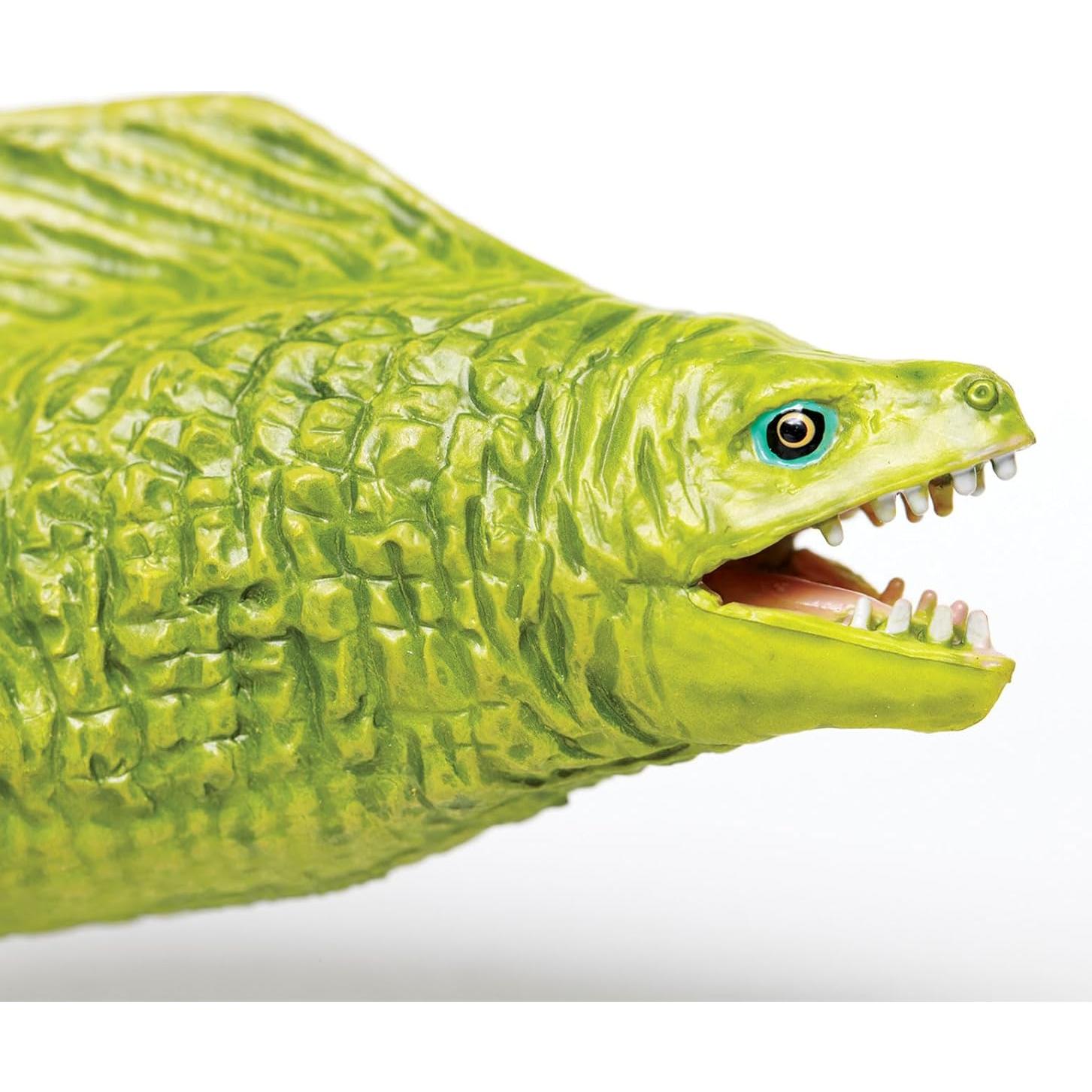 Figura de Anguila Moray Safari Ltd - Juguete Educativo 23 cm