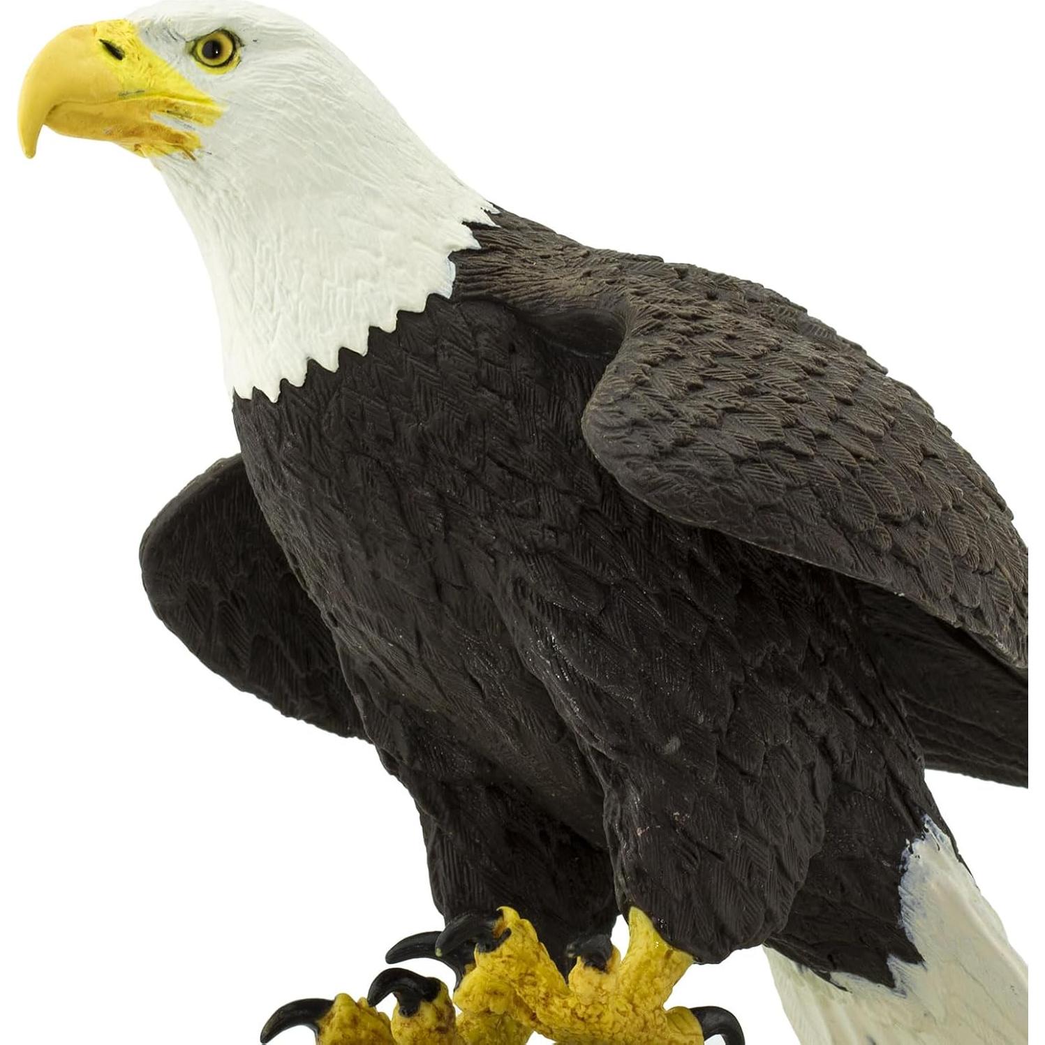 Figura Águila Calva Safari Ltd 17.8 cm Juguete Educativo