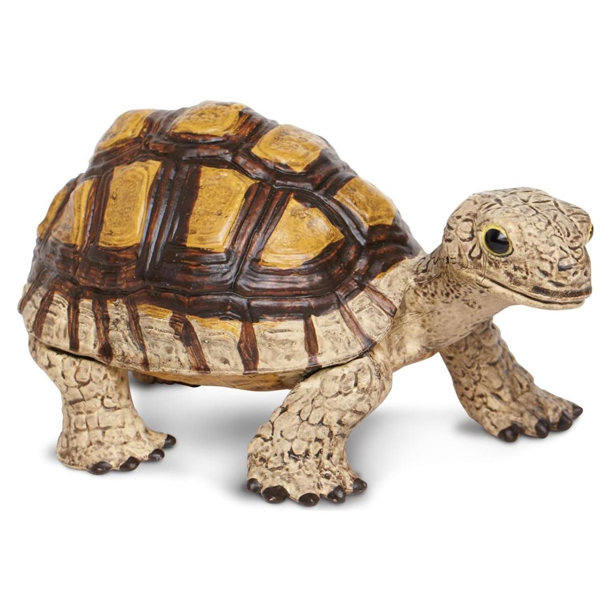 Figura de Tortuga Safari Ltd - Juguete Educativo 12 cm