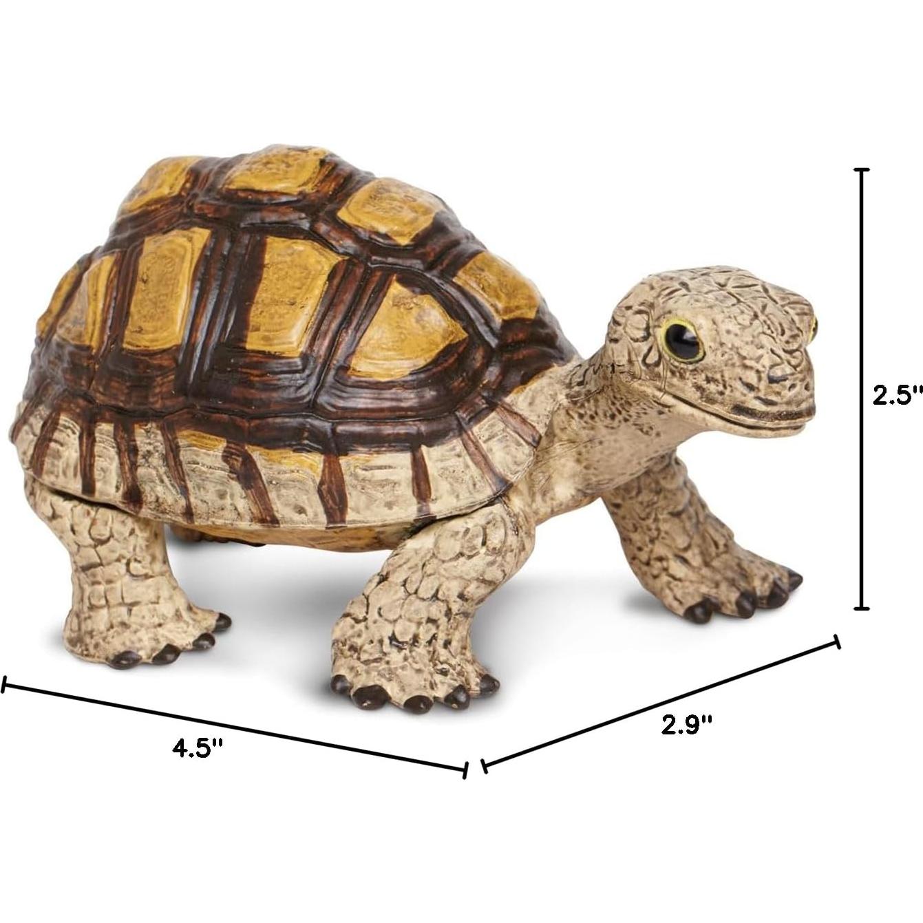 Figura de Tortuga Safari Ltd - Juguete Educativo 12 cm