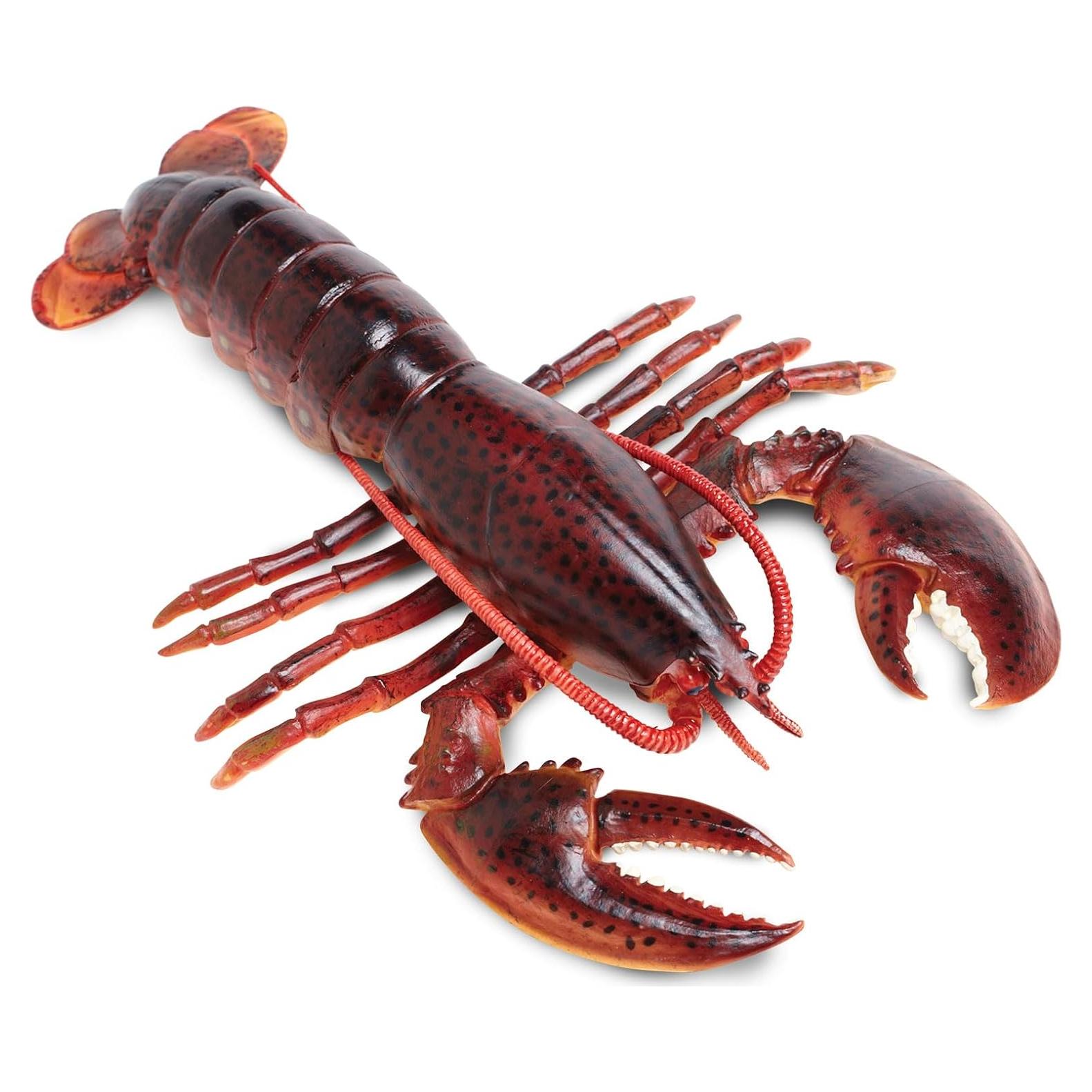 Figura de Langosta de Maine Safari Ltd. 20 cm Juguete Educativo