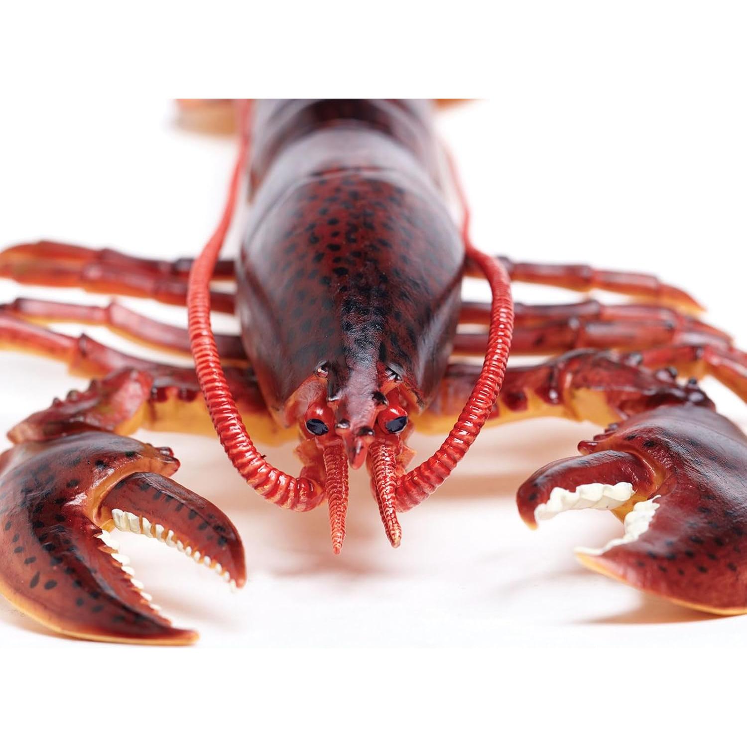 Figura de Langosta de Maine Safari Ltd. 20 cm Juguete Educativo