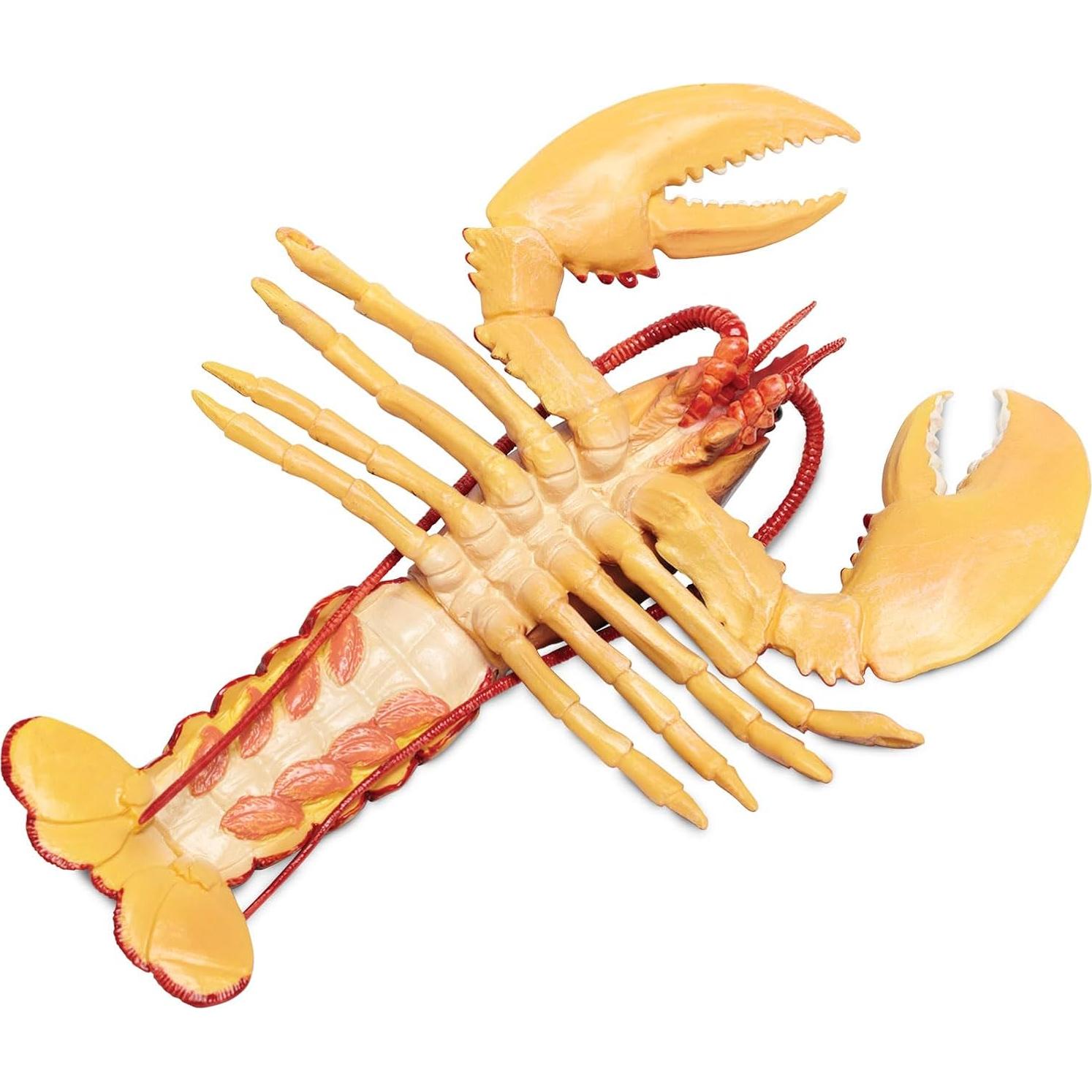 Figura de Langosta de Maine Safari Ltd. 20 cm Juguete Educativo