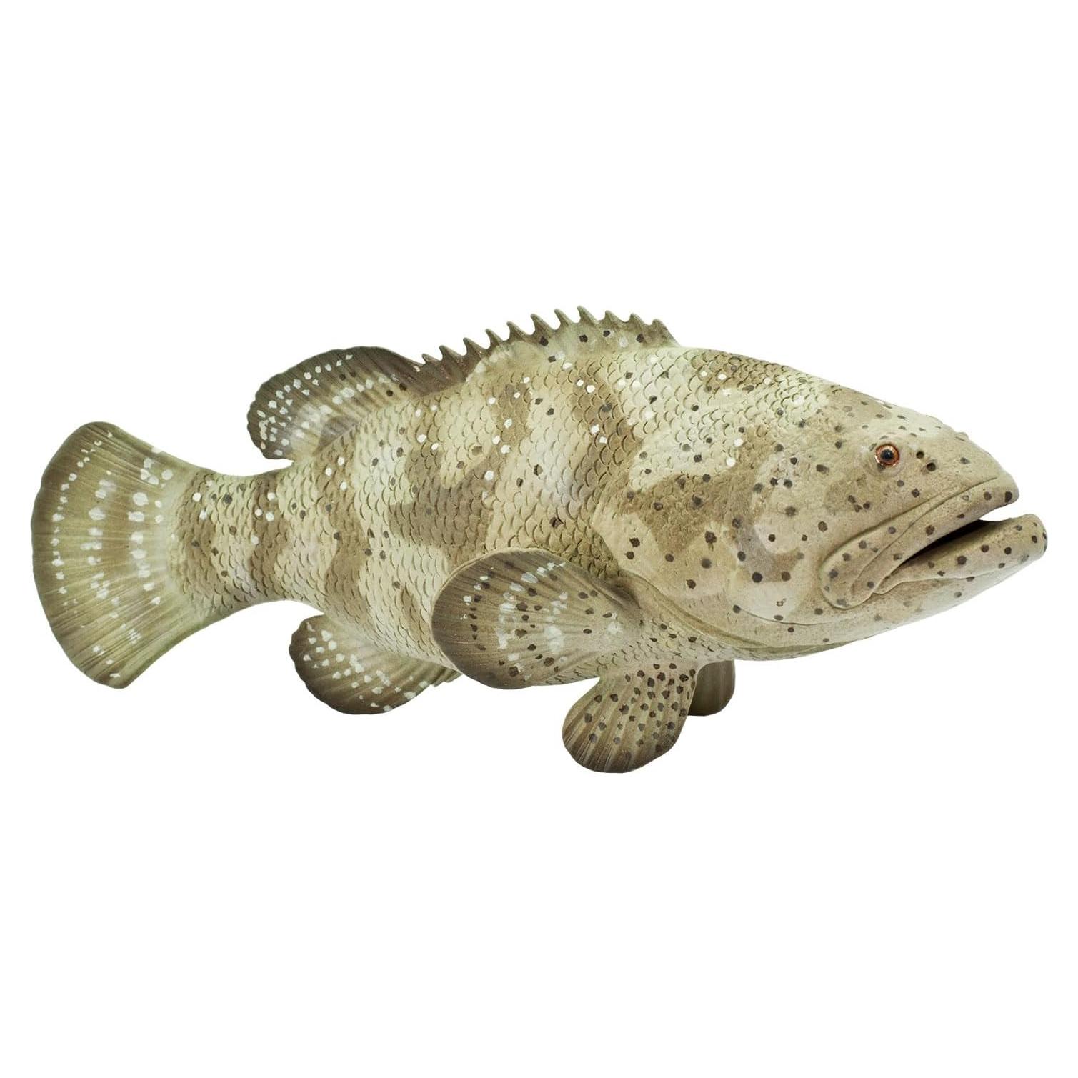 Figurita Goliath Grouper Safari Ltd. 14.6 cm Juguete Educativo